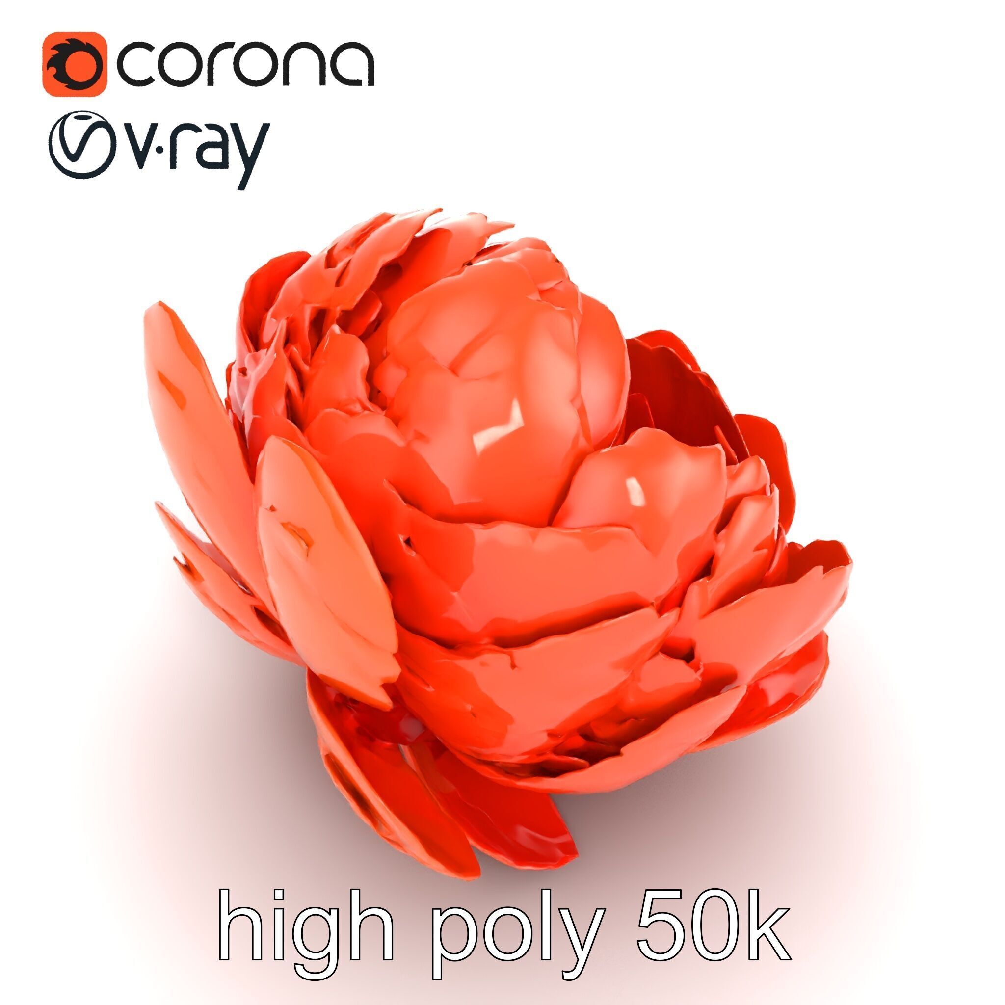 Coral Peony Soft Petals model pack Low-poly 3D model_26