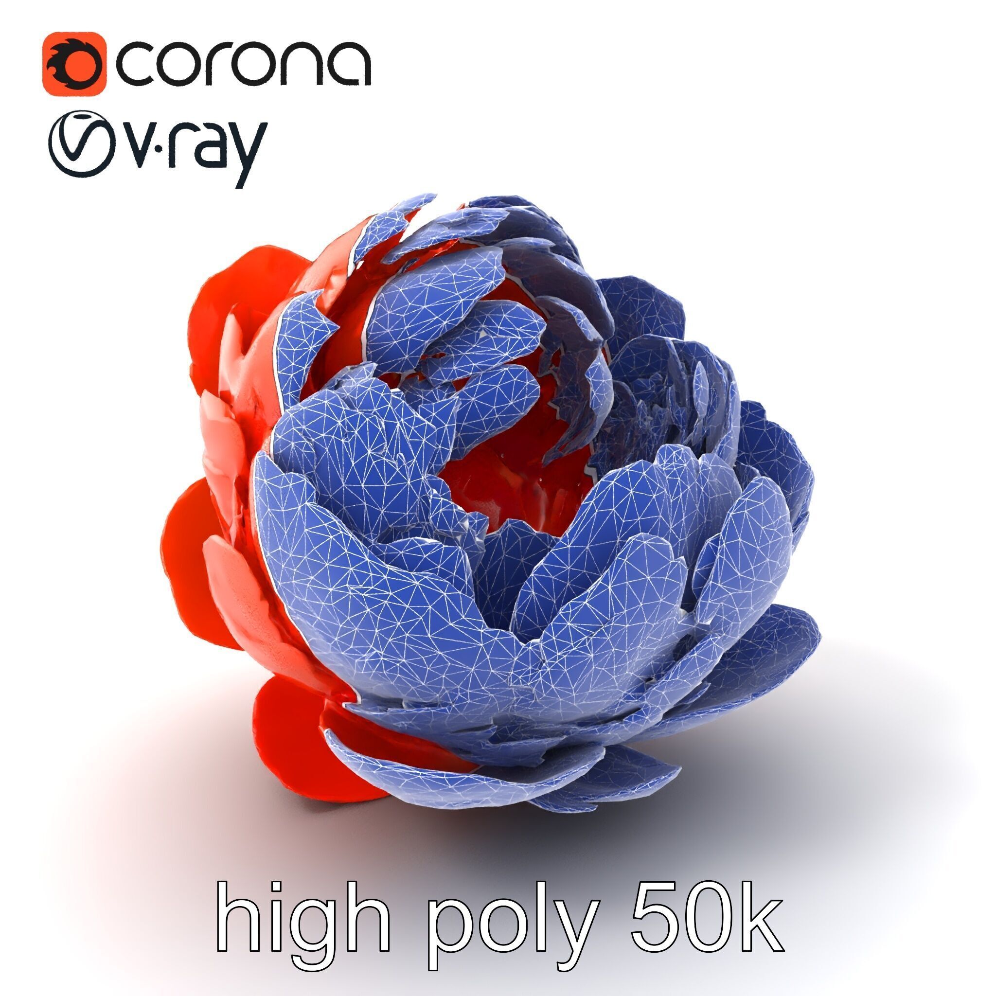 Coral Peony Soft Petals model pack Low-poly 3D model_1