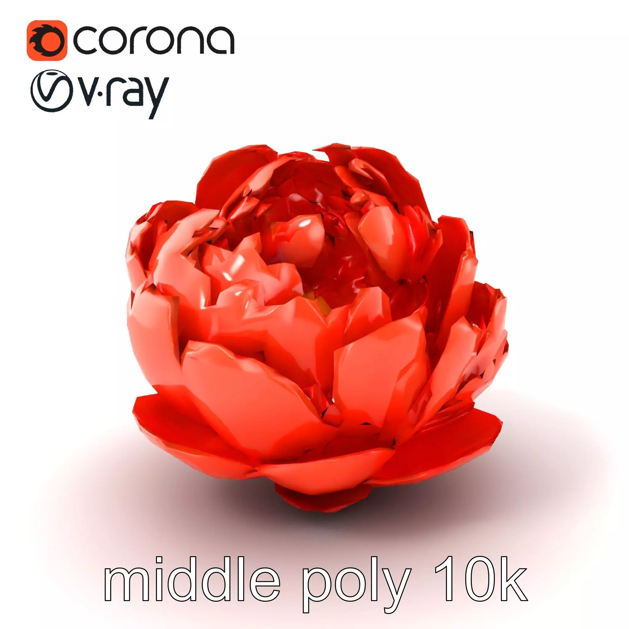 Coral Peony Soft Petals model pack Low-poly 3D model_0