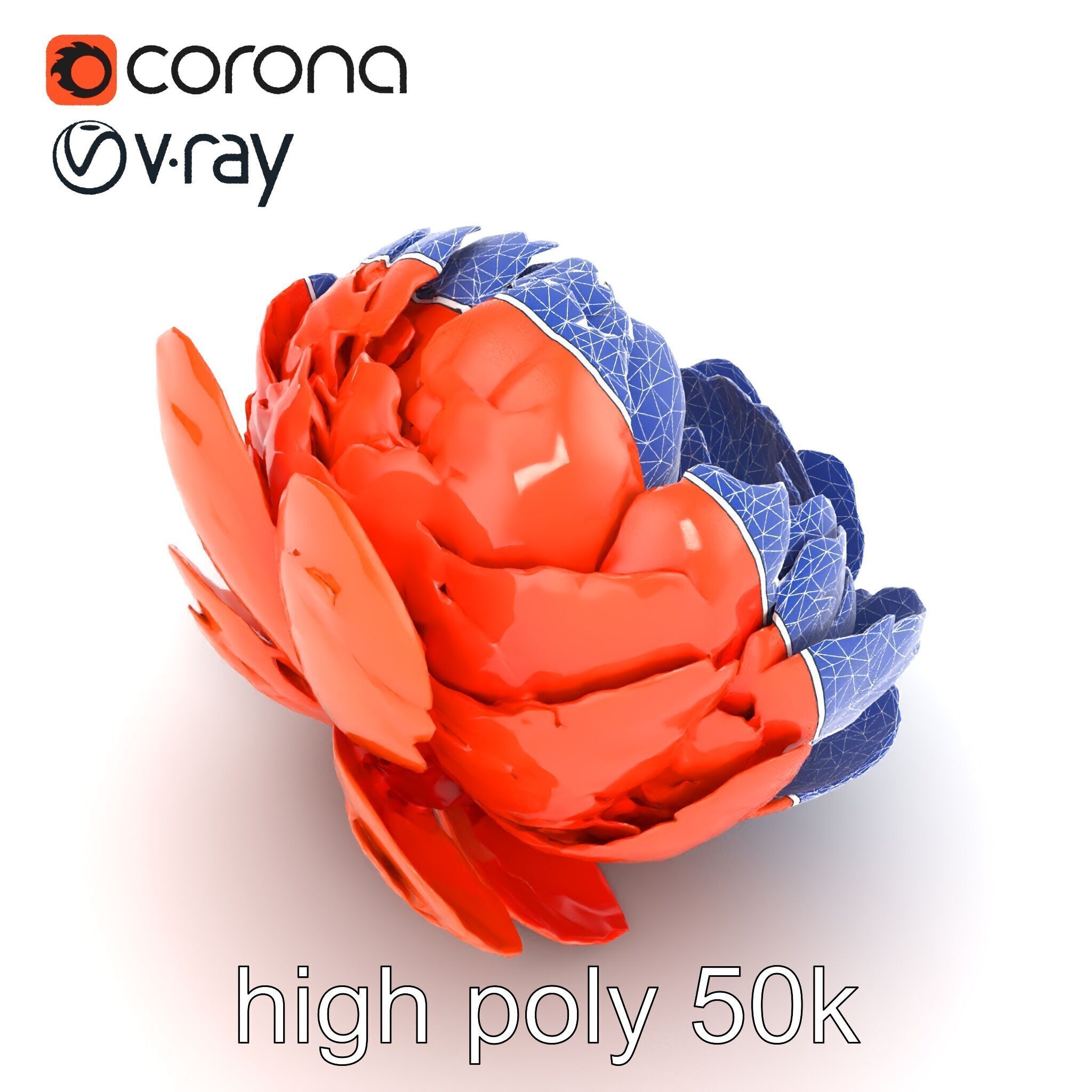 Coral Peony Soft Petals model pack Low-poly 3D model_19