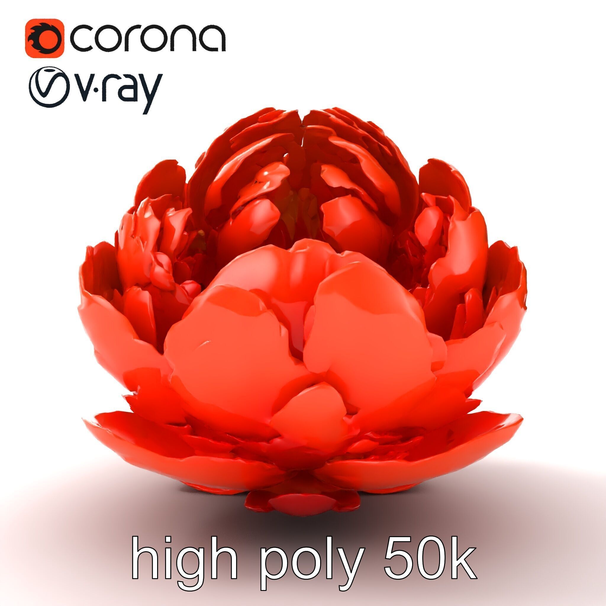 Coral Peony Soft Petals model pack Low-poly 3D model_23