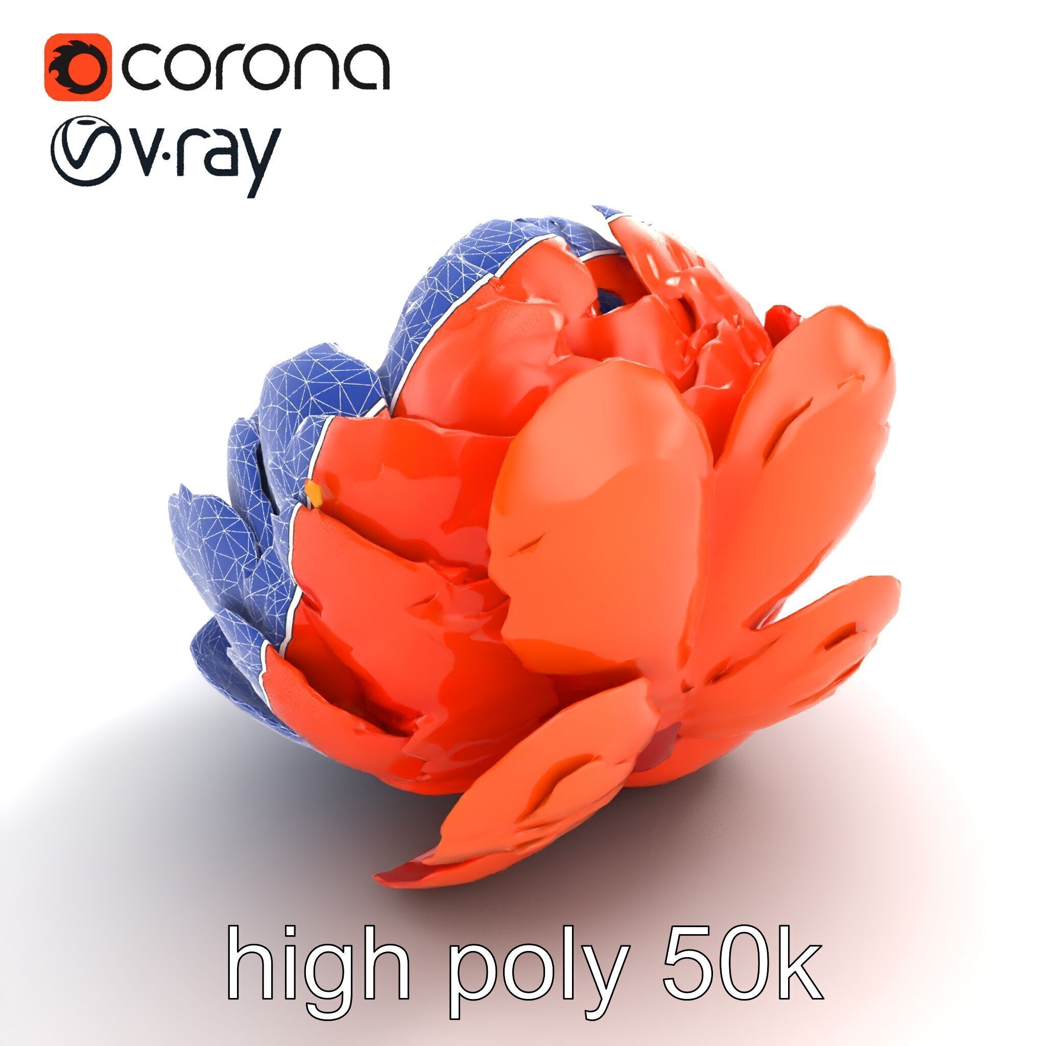 Coral Peony Soft Petals model pack Low-poly 3D model_13