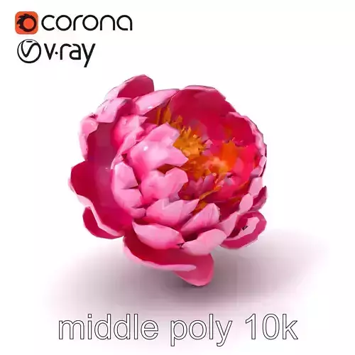 Exquisite 3D Peony Flower Model Pack