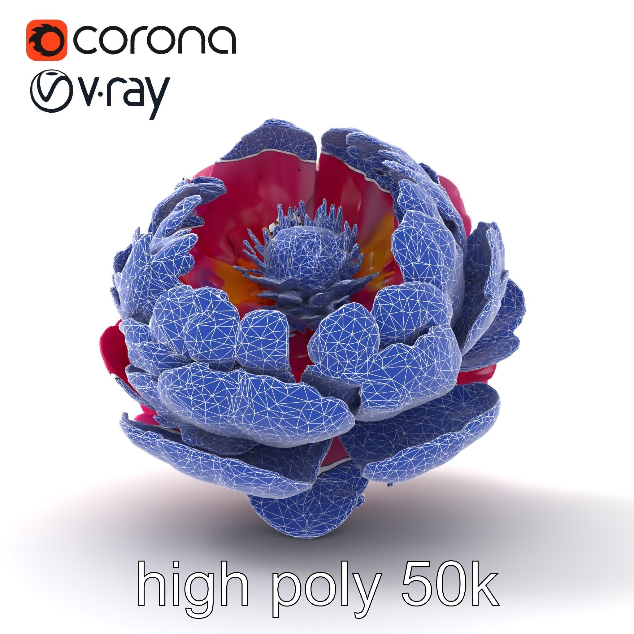 3D model Exquisite 3D Peony Flower Model Pack VR / AR / low-poly