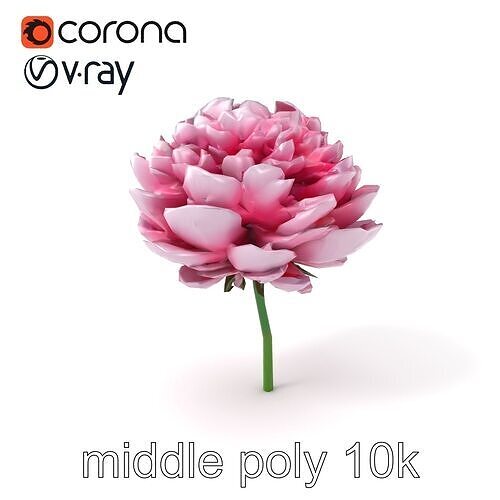 Double Peony Lush Blooms Elegance model pack Low-poly 3D model