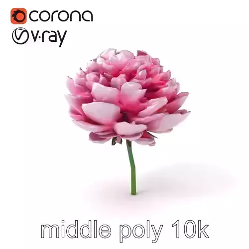 Double Peony Lush Blooms Elegance model pack