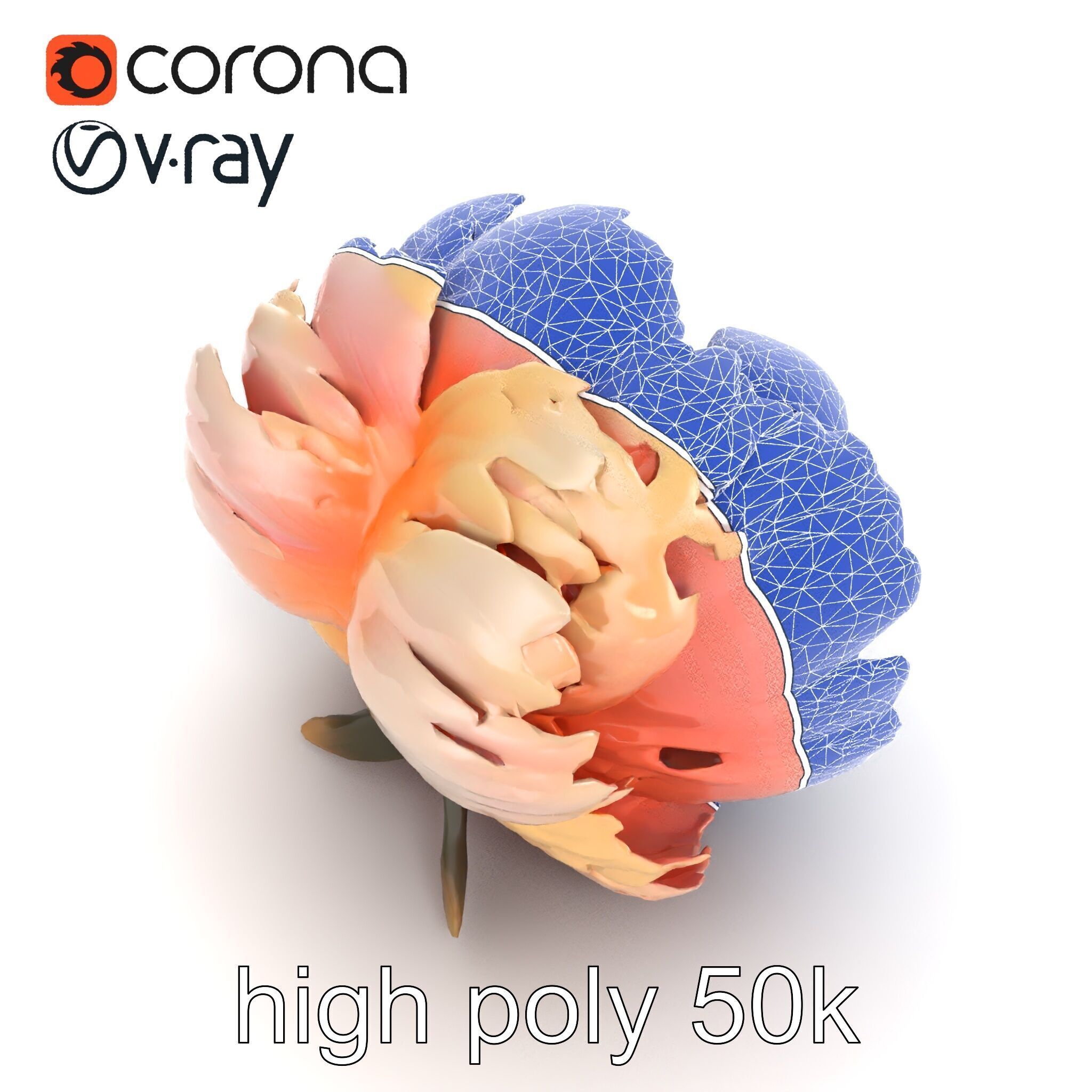 Peony Flower Detailed Realistic Bloom model pack Low-poly 3D model_17
