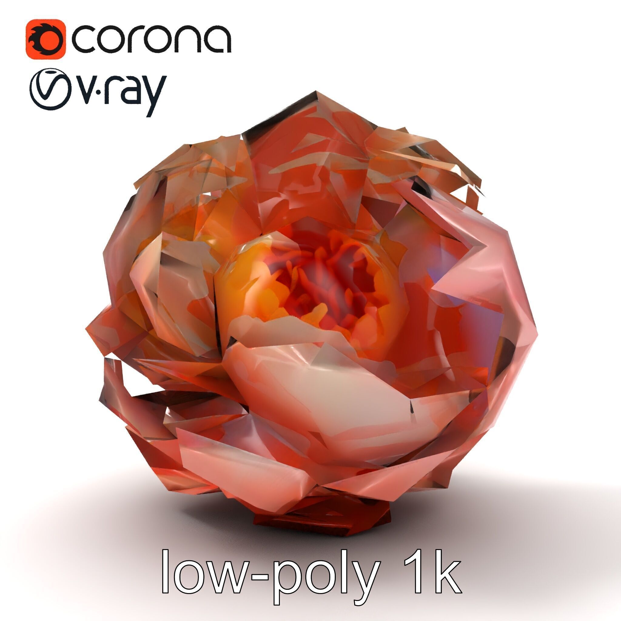 Peony Flower Detailed Realistic Bloom model pack Low-poly 3D model_16
