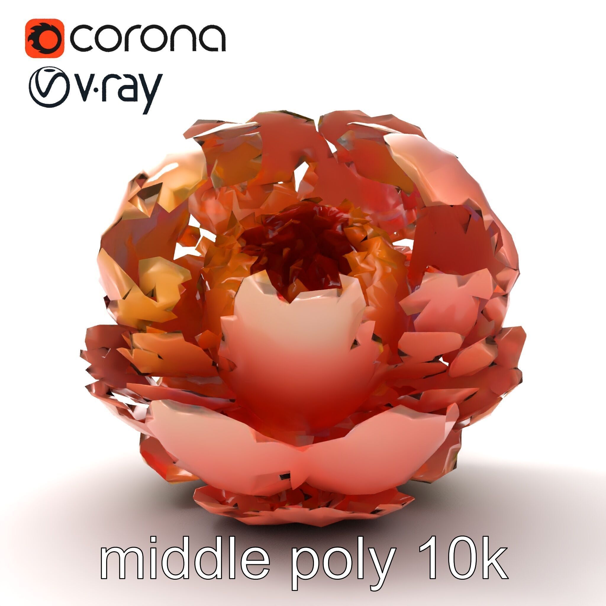Peony Flower Detailed Realistic Bloom model pack Low-poly 3D model_11