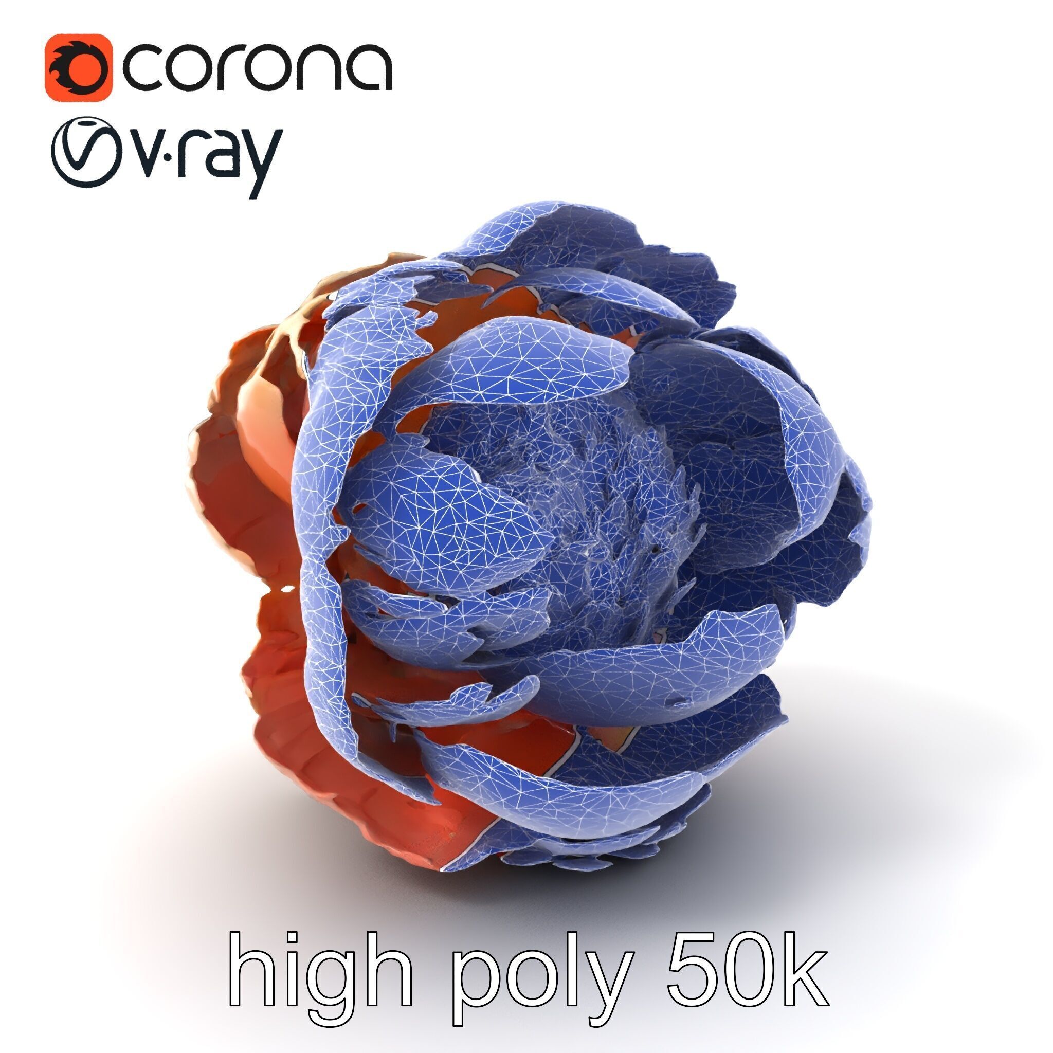 Peony Flower Detailed Realistic Bloom model pack Low-poly 3D model_1