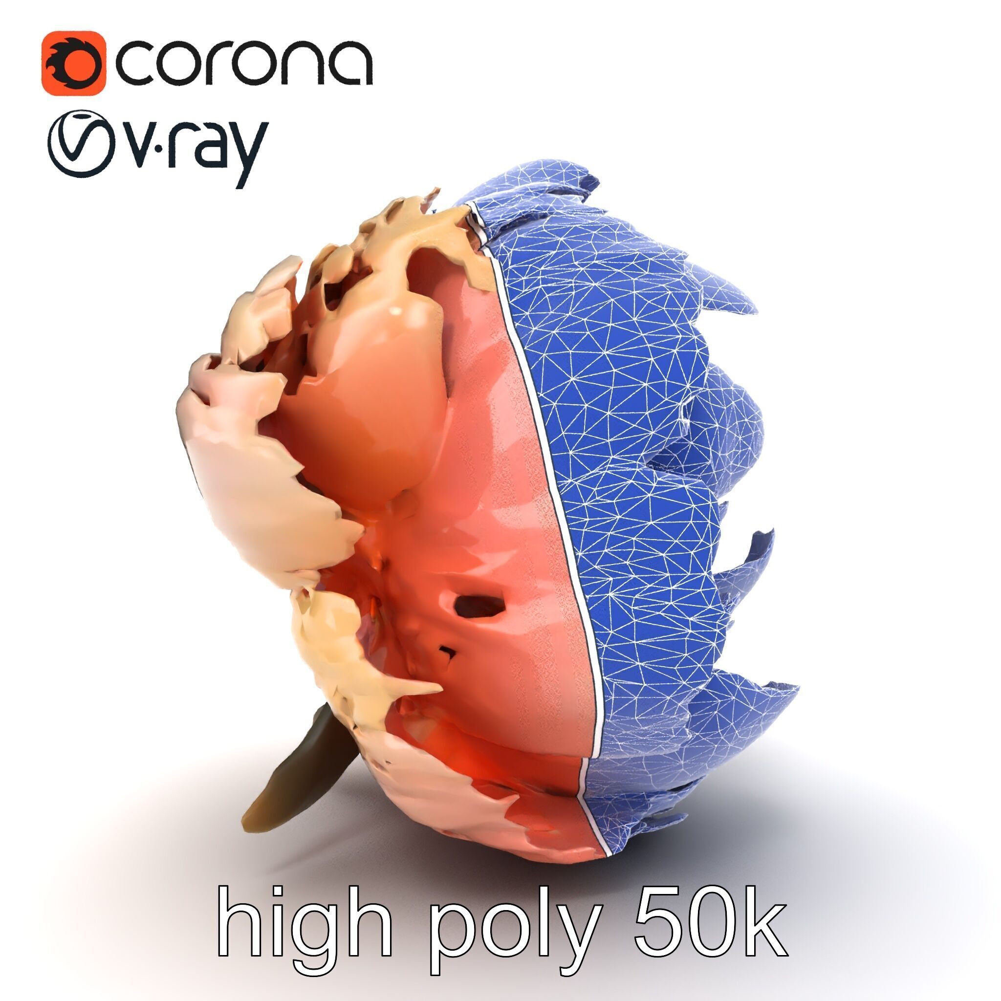 Peony Flower Detailed Realistic Bloom model pack Low-poly 3D model_24