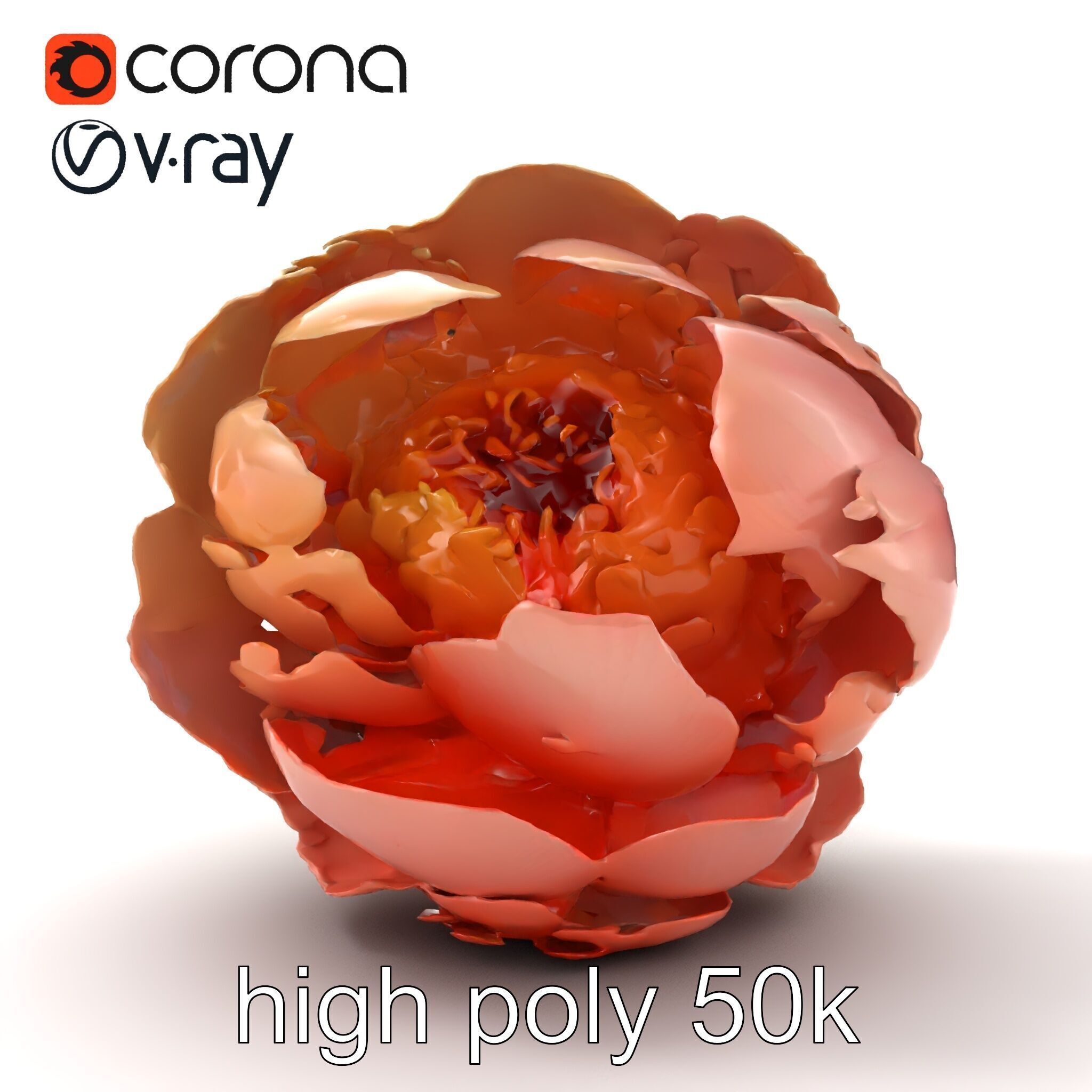 Peony Flower Detailed Realistic Bloom model pack Low-poly 3D model_23