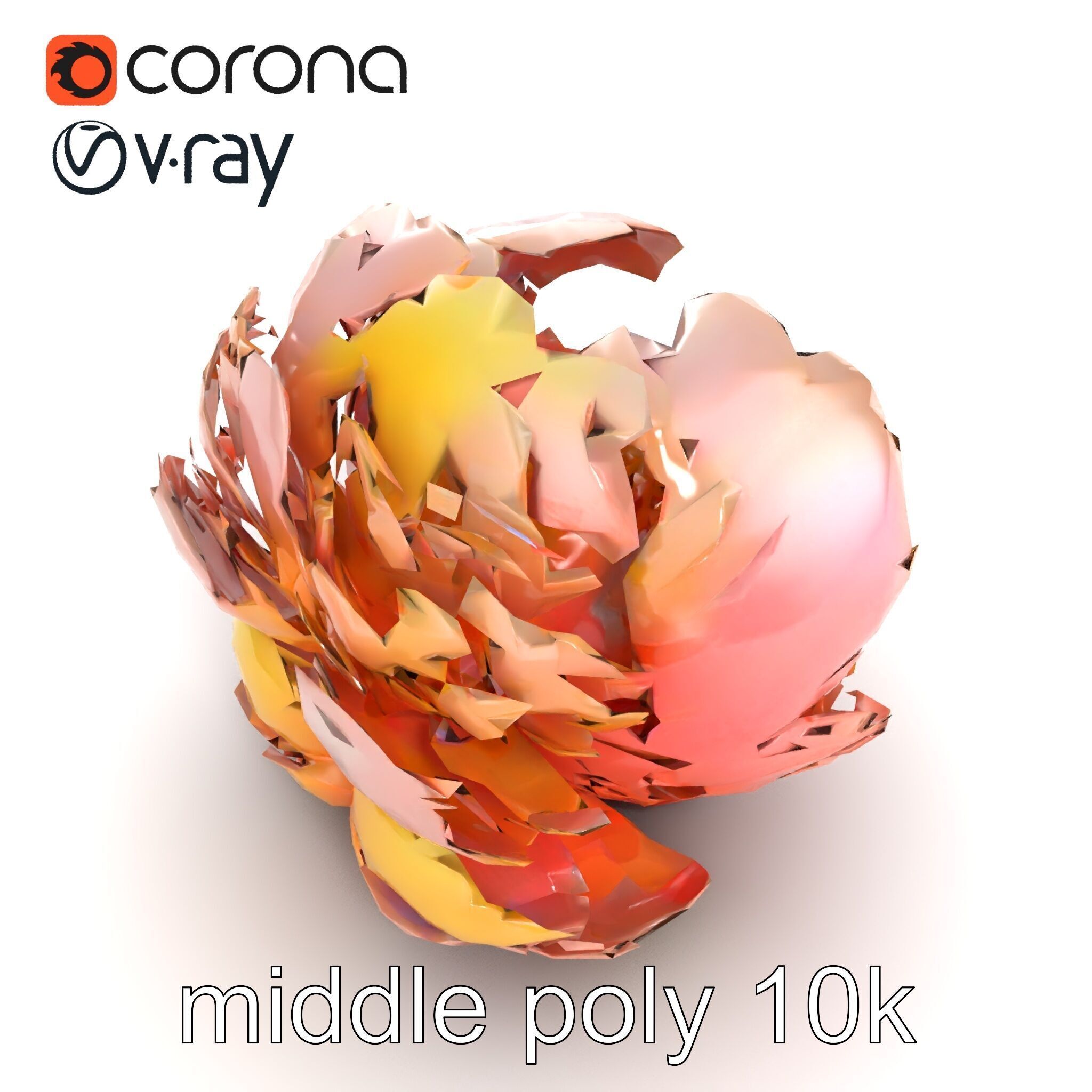 Peony Flower Detailed Realistic Bloom model pack Low-poly 3D model_18