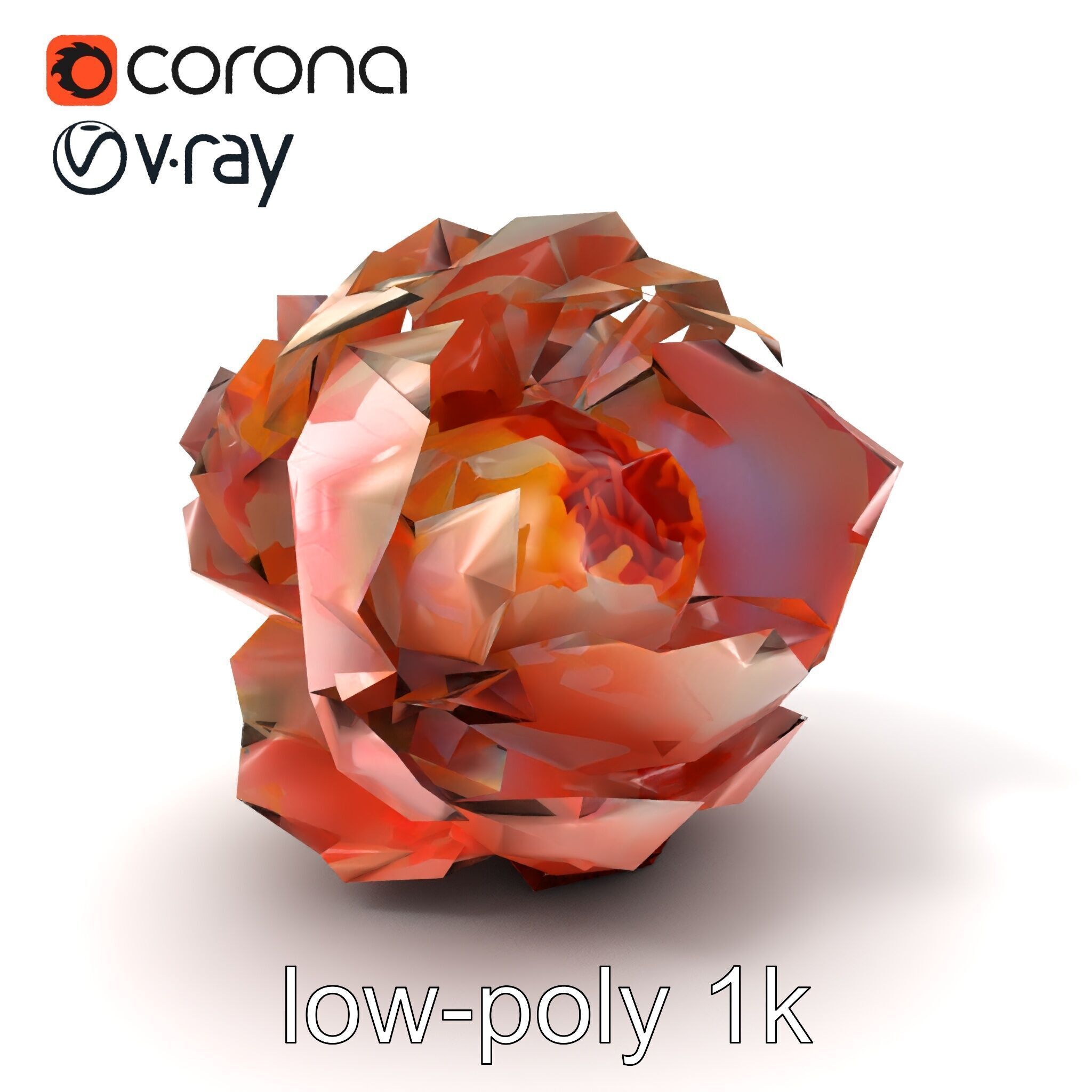 Peony Flower Detailed Realistic Bloom model pack Low-poly 3D model_4