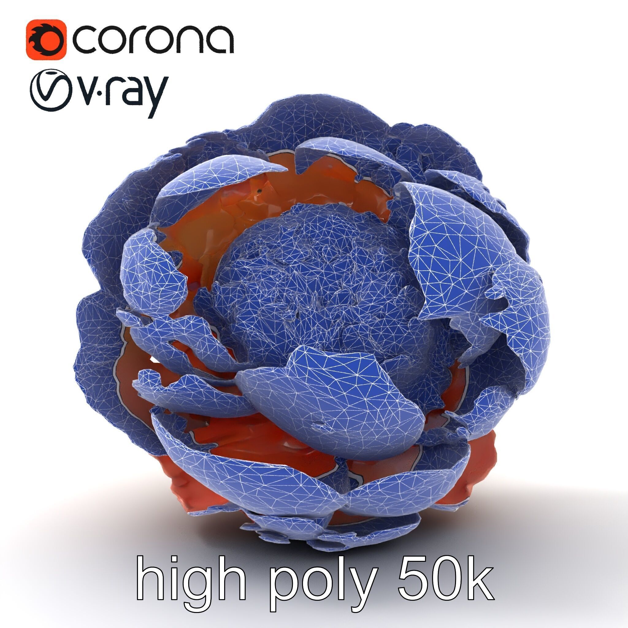 Peony Flower Detailed Realistic Bloom model pack Low-poly 3D model_28