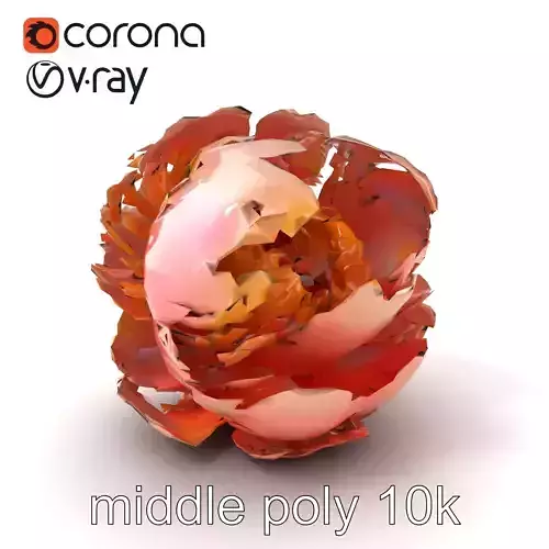 Peony Flower Detailed Realistic Bloom model pack Low-poly 3D model