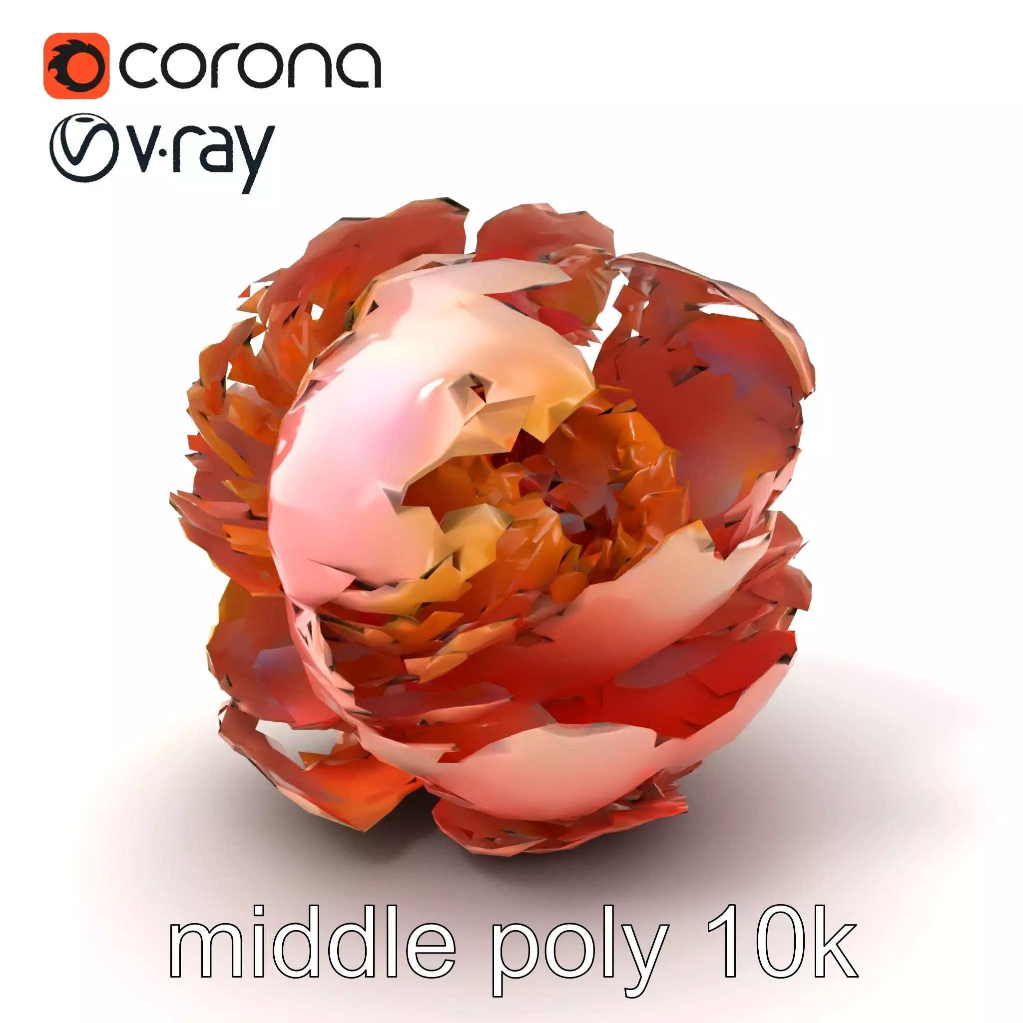 Peony Flower Detailed Realistic Bloom model pack Low-poly 3D model_0