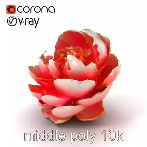 Bicolor Peony Soft Hue model pack Low-poly 3D model