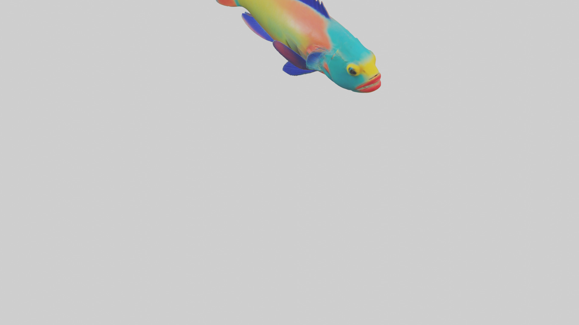 Parrotfish nibbling coral model Low-poly 3D model_6