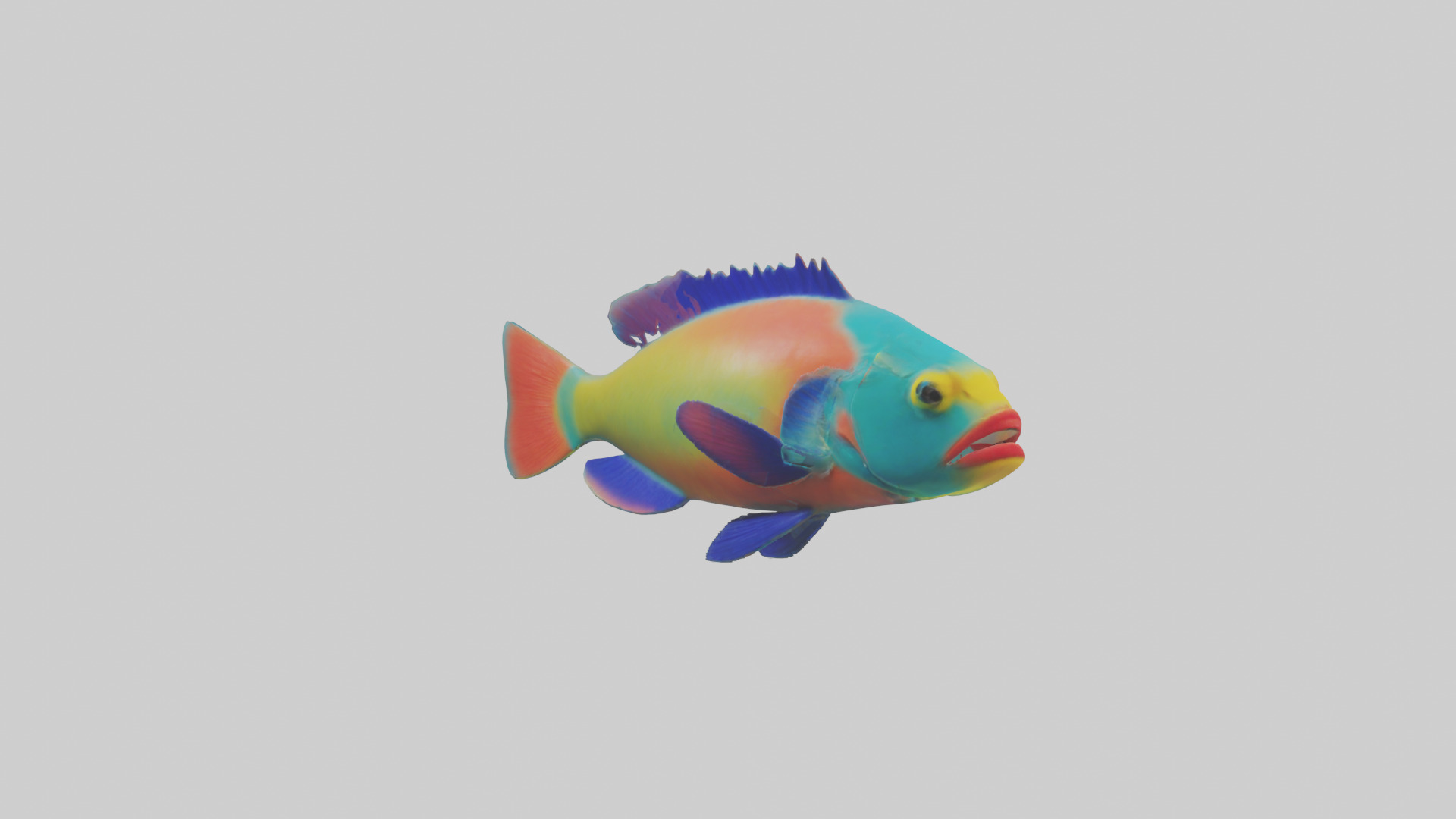 Parrotfish nibbling coral model Low-poly 3D model_7