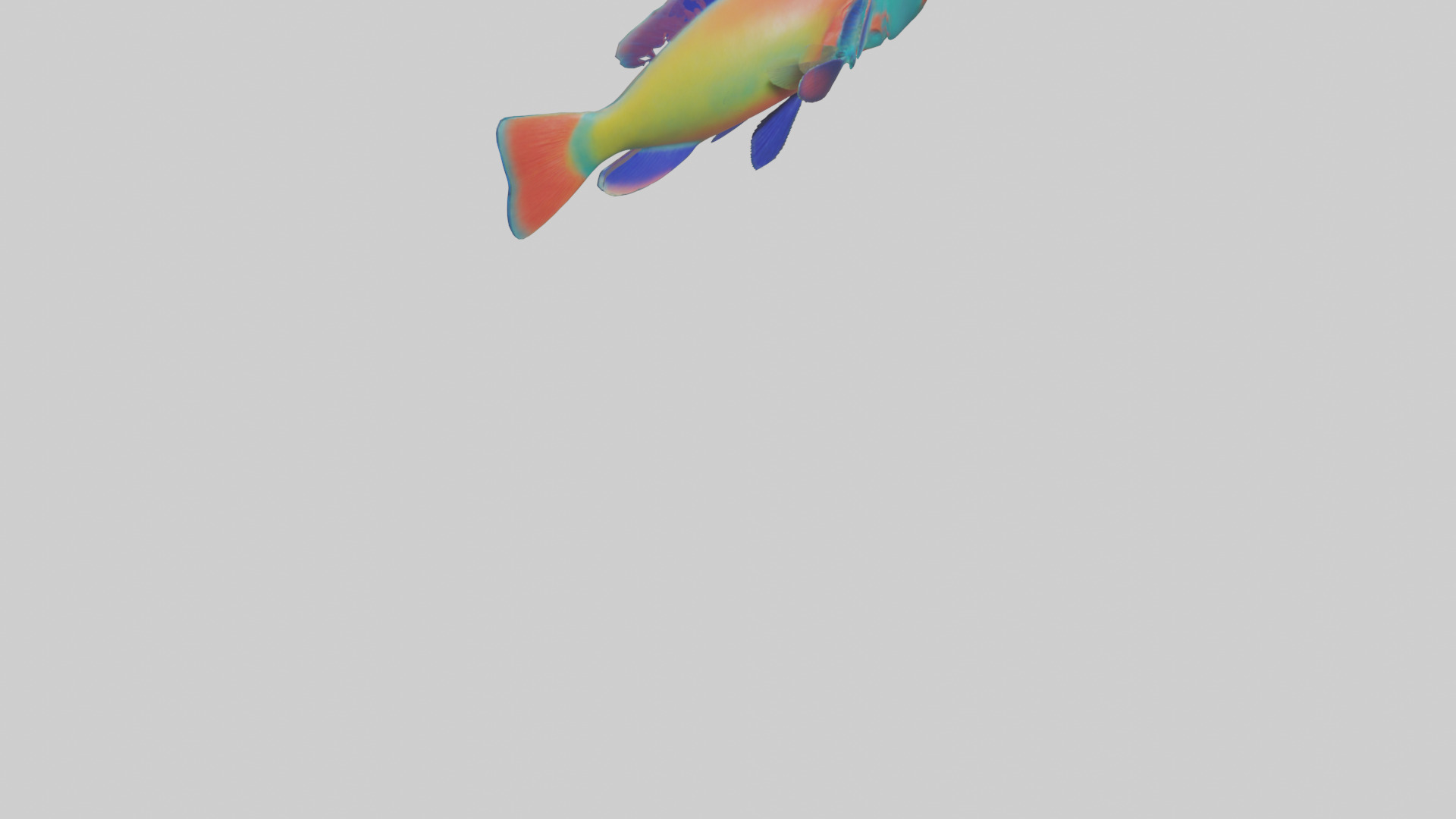 Parrotfish nibbling coral model Low-poly 3D model_4
