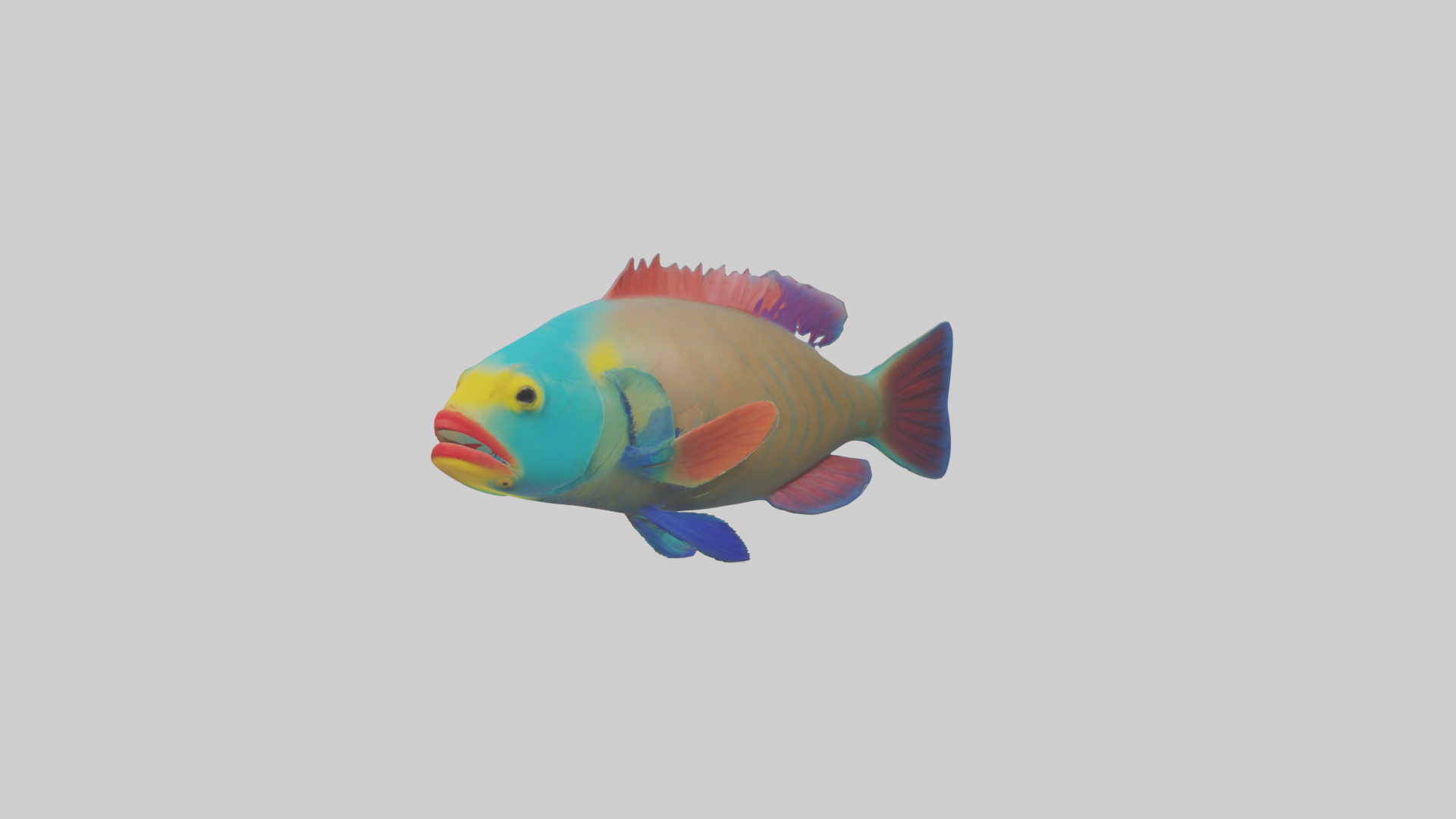 Parrotfish nibbling coral model Low-poly 3D model_10