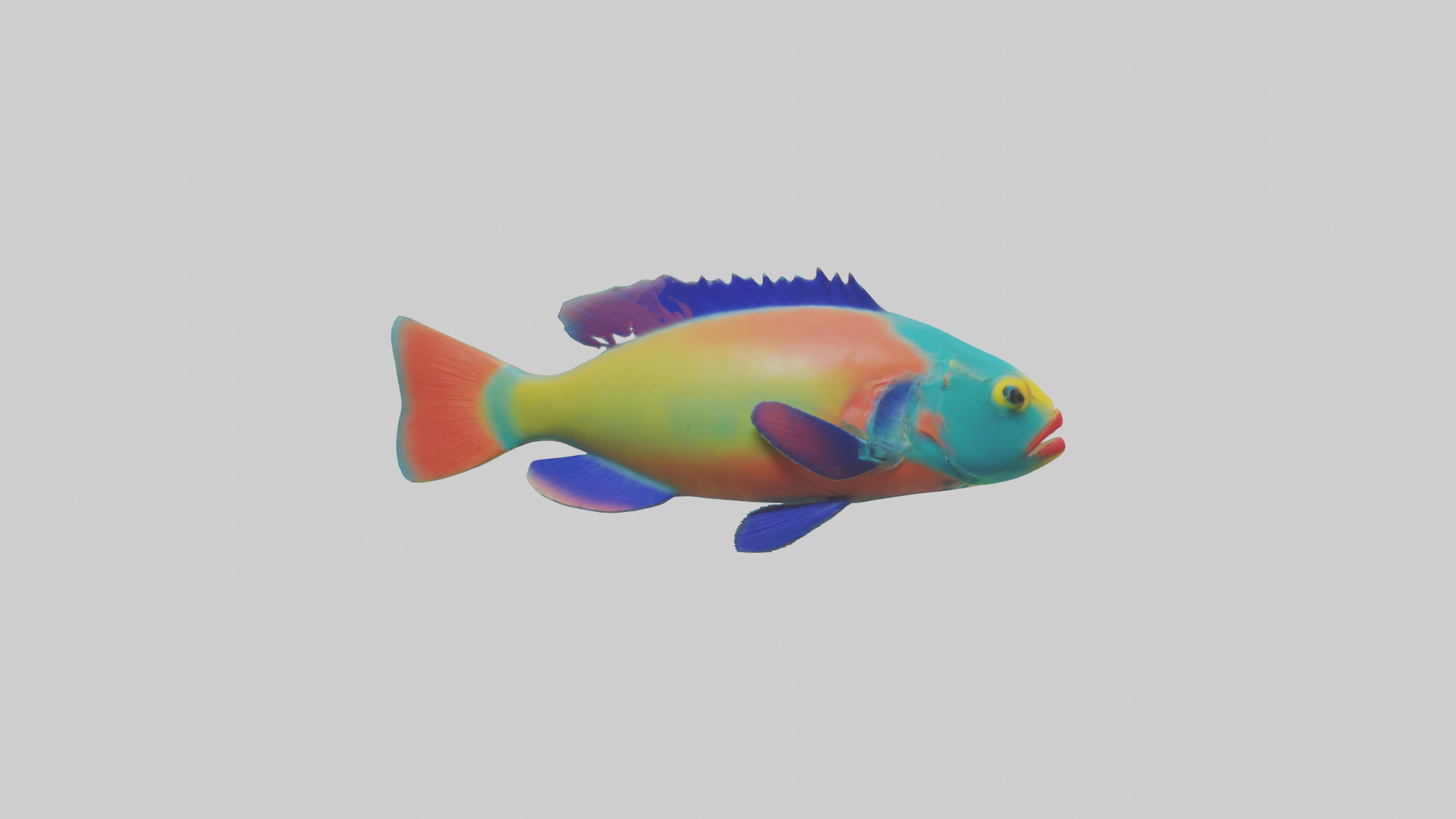Parrotfish nibbling coral model Low-poly 3D model_13