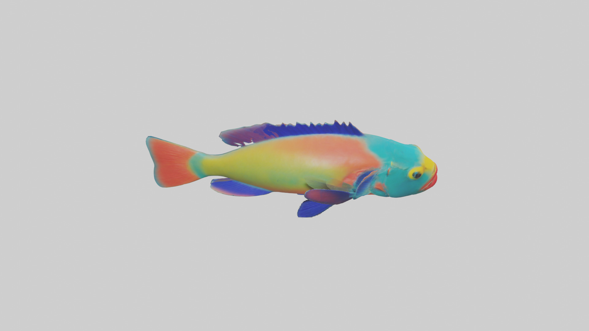 Parrotfish nibbling coral model Low-poly 3D model_18