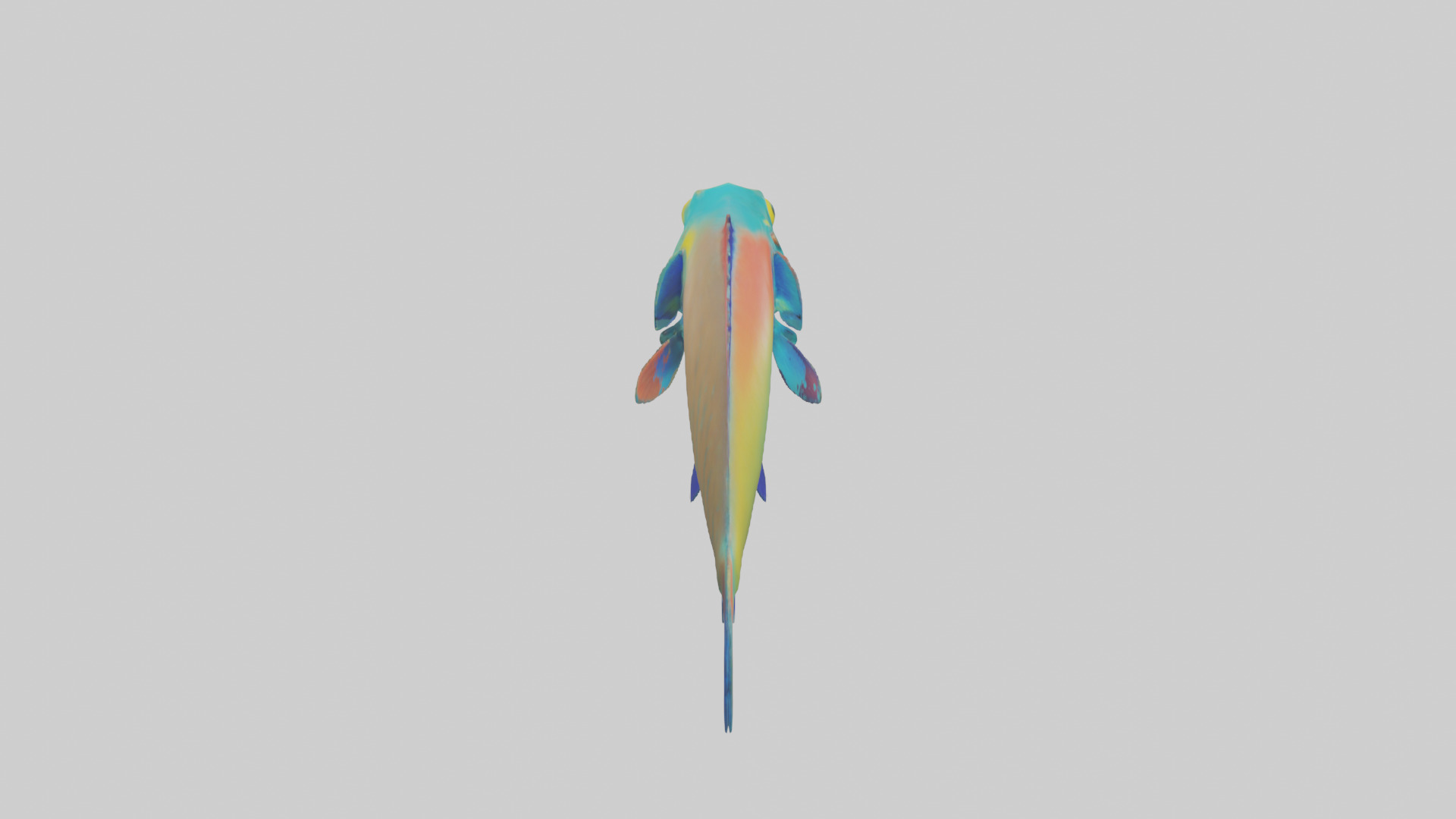 Parrotfish nibbling coral model Low-poly 3D model_15