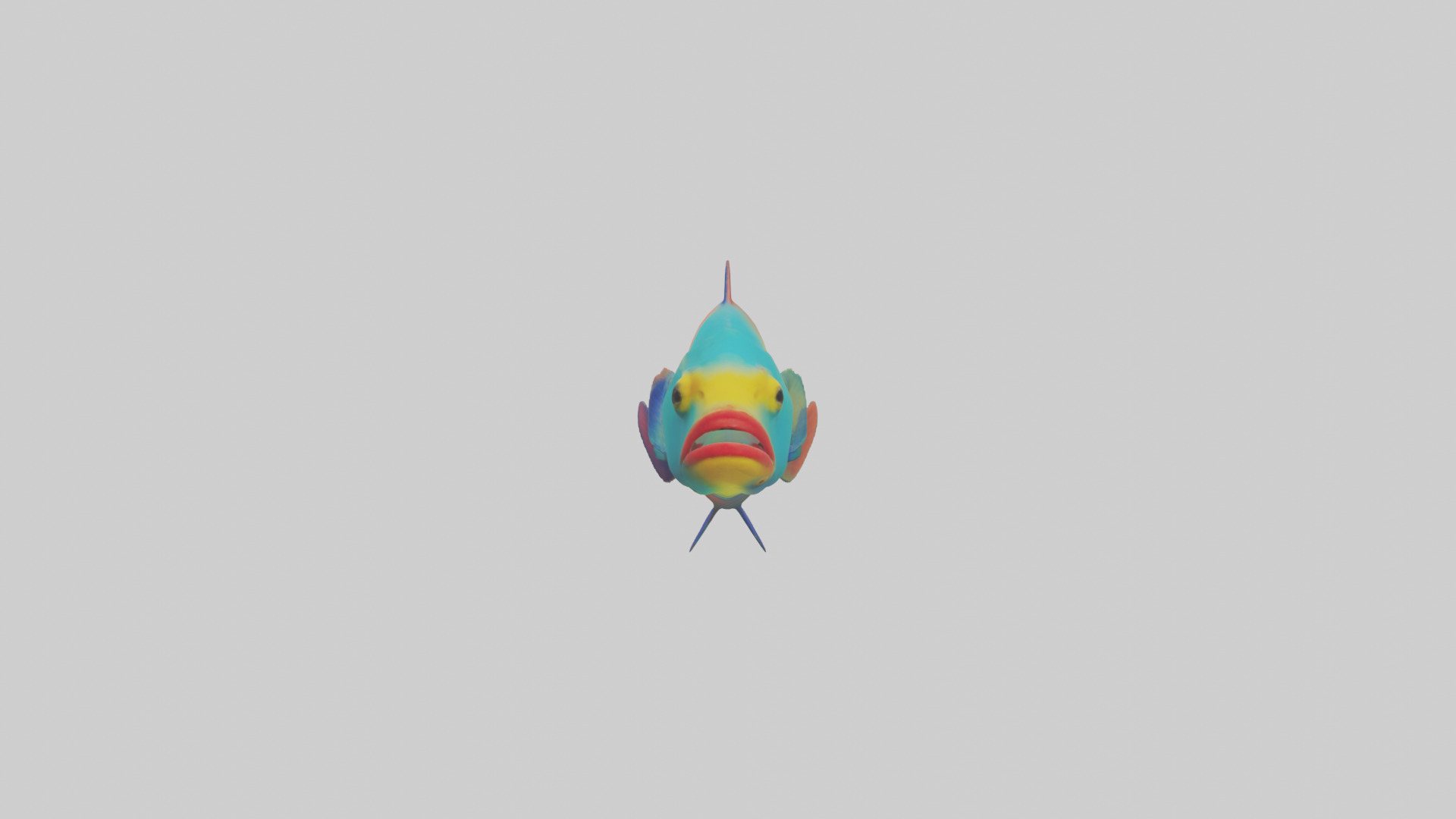 Parrotfish nibbling coral model Low-poly 3D model_9