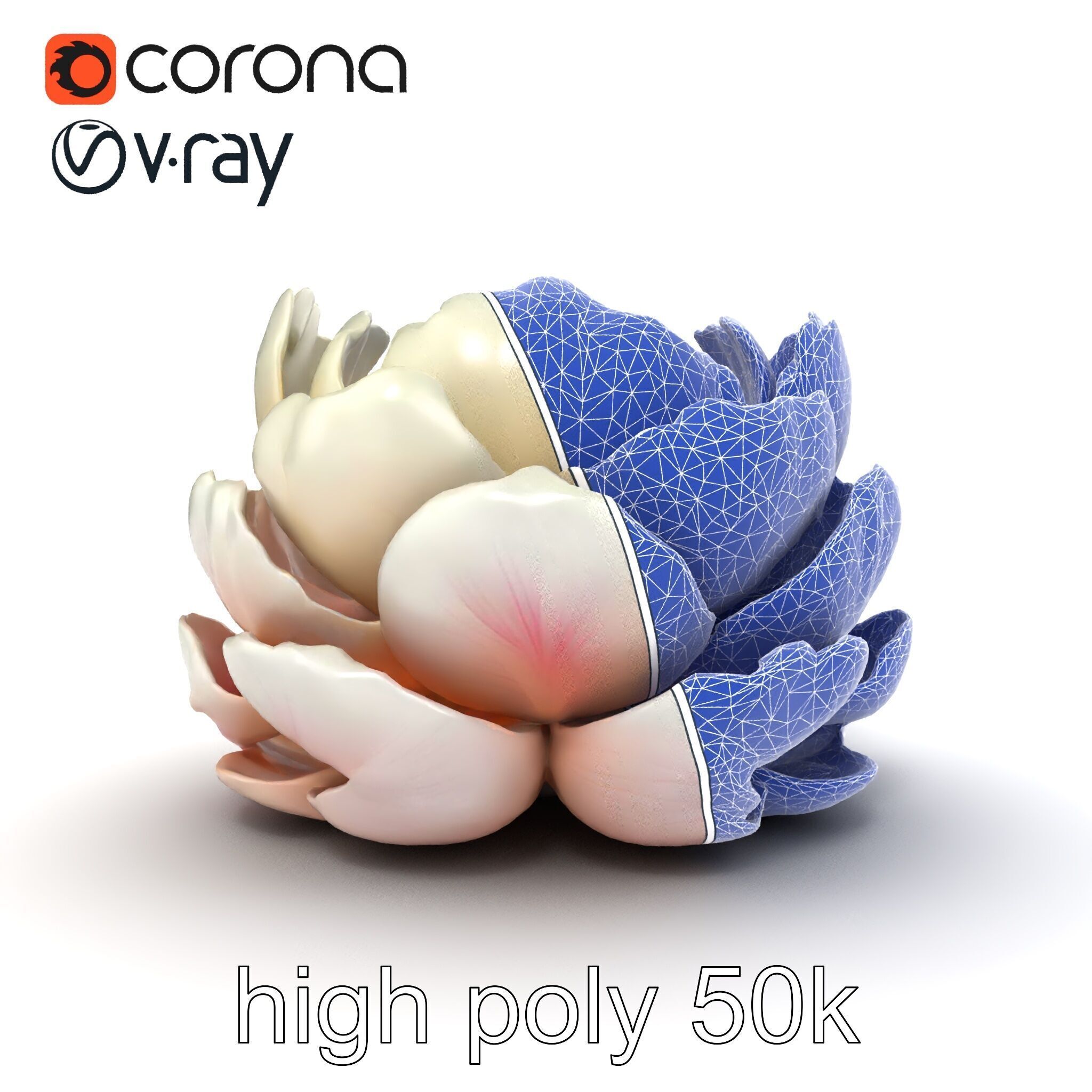 Peony Bloom Textured Model Pack Low-poly 3D model_28