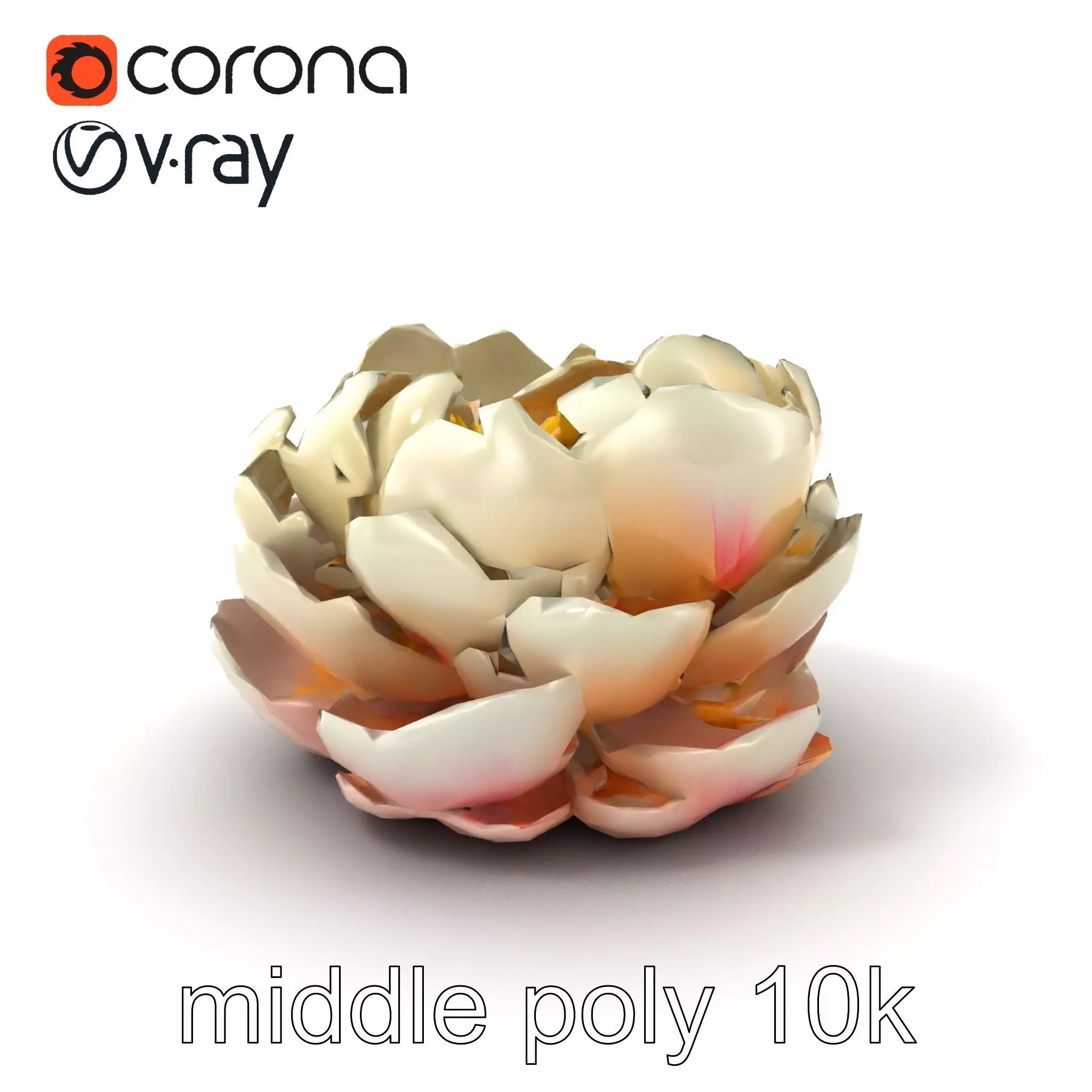 Peony Bloom Textured Model Pack Low-poly 3D model_0