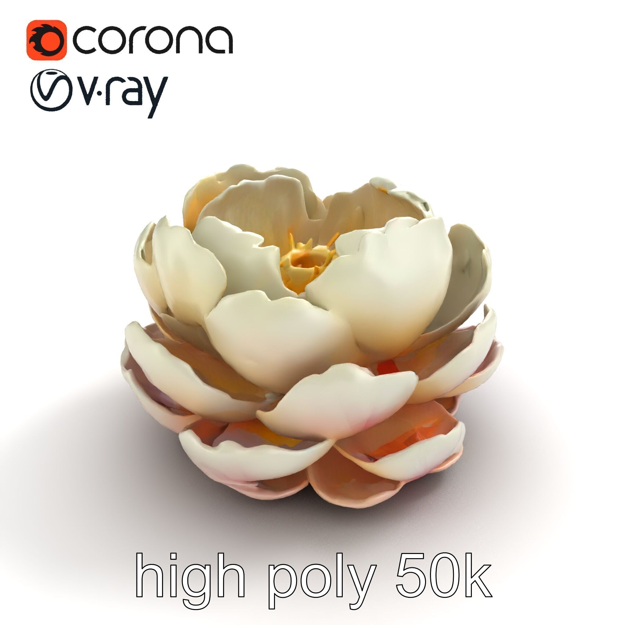 Peony Bloom Textured Model Pack Low-poly 3D model_24