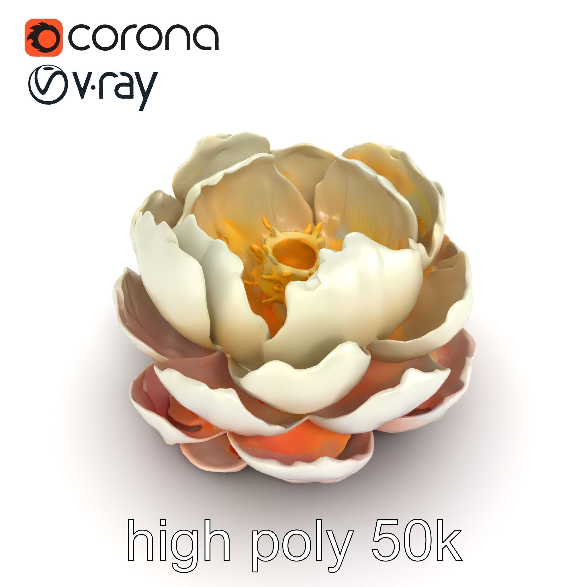 Peony Bloom Textured Model Pack Low-poly 3D model_16