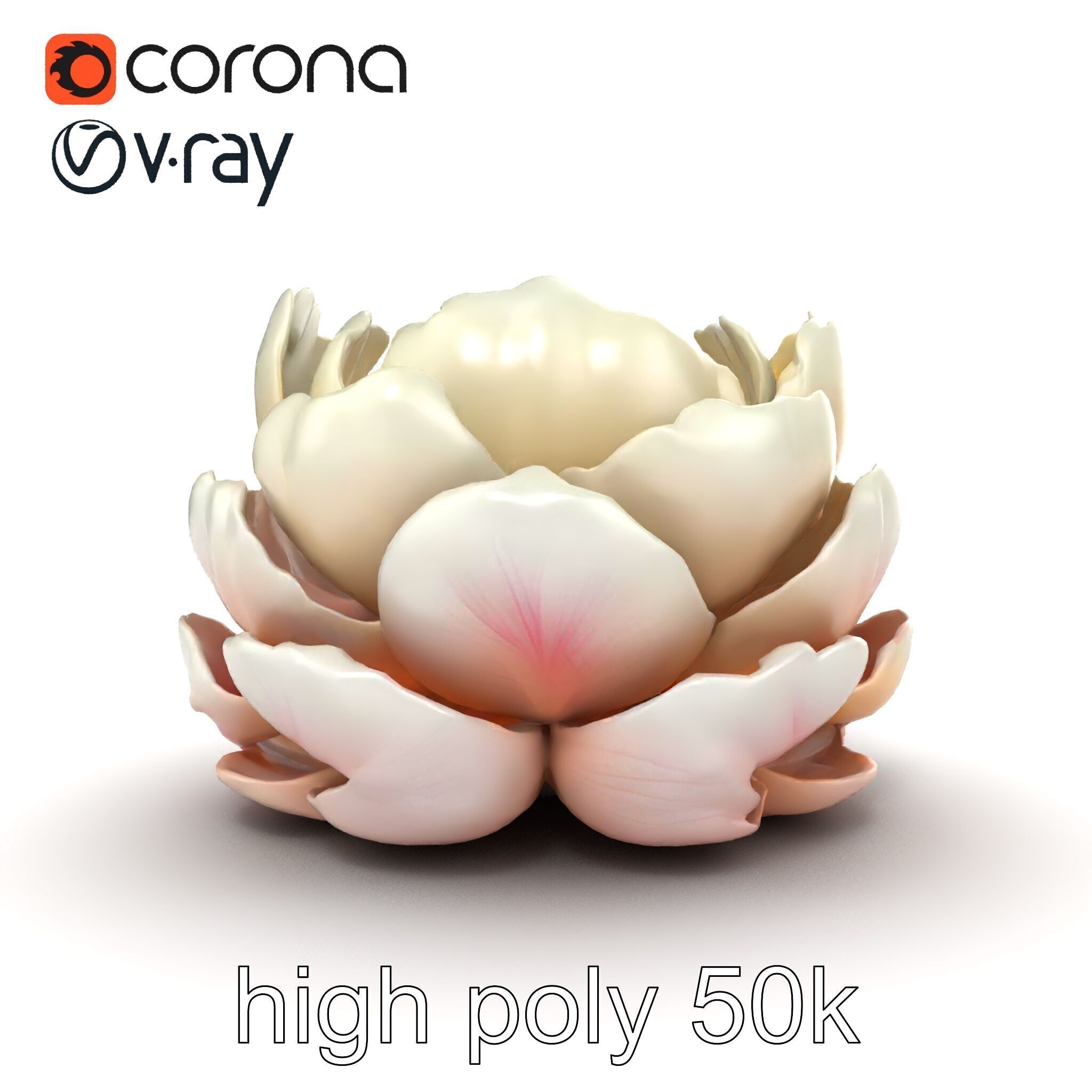 Peony Bloom Textured Model Pack Low-poly 3D model_23