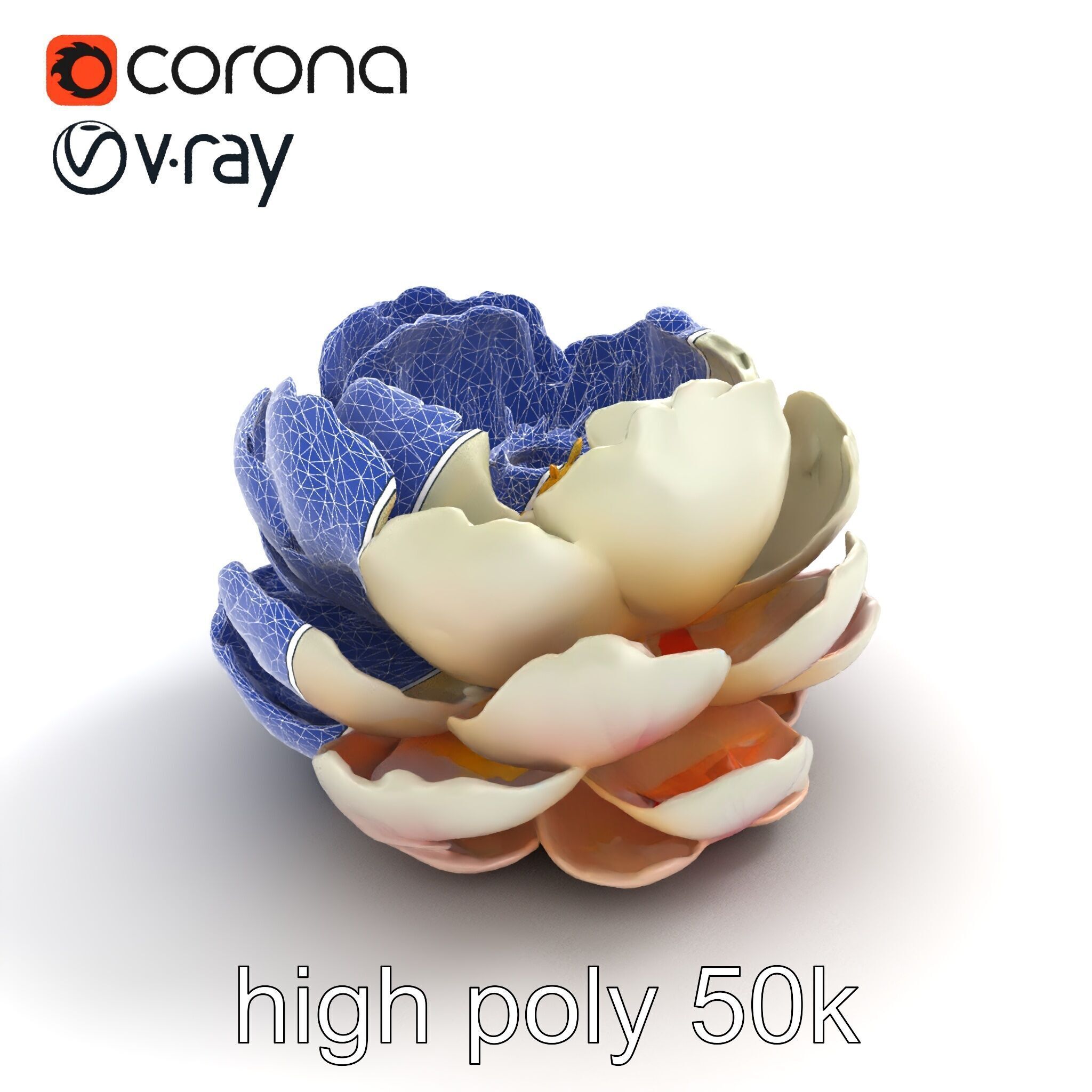 Peony Bloom Textured Model Pack Low-poly 3D model_18