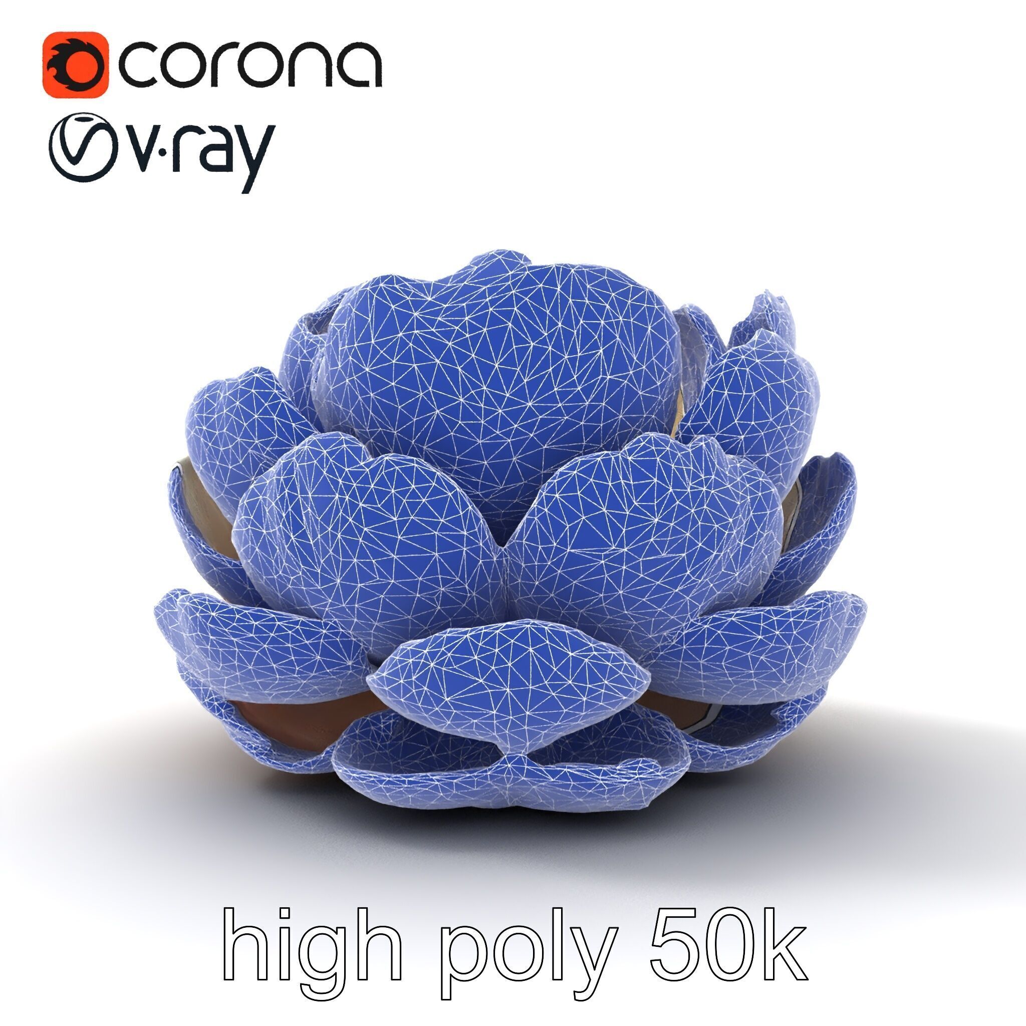 Peony Bloom Textured Model Pack Low-poly 3D model_32