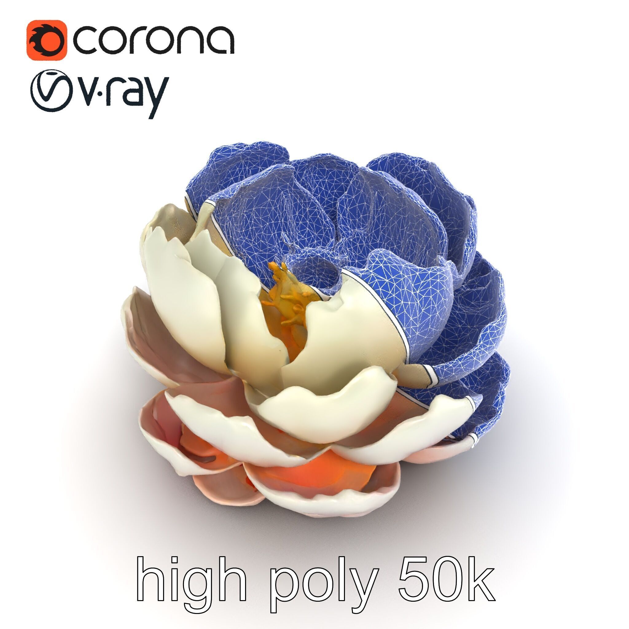 Peony Bloom Textured Model Pack Low-poly 3D model_31