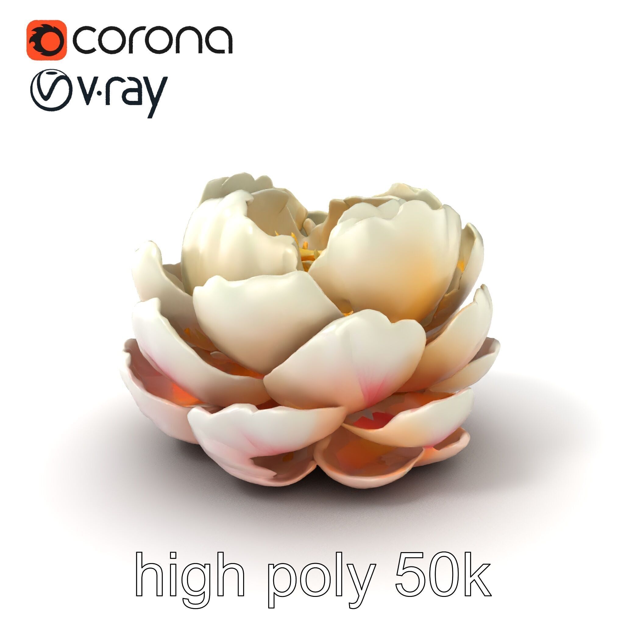Peony Bloom Textured Model Pack Low-poly 3D model_2