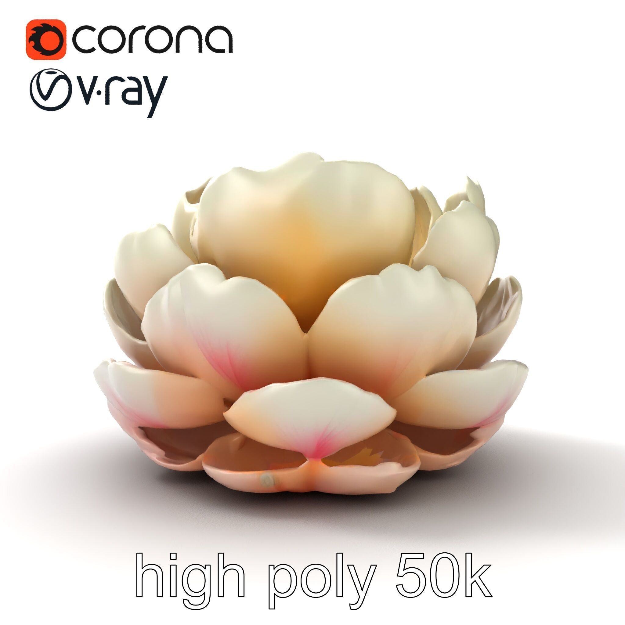 Peony Bloom Textured Model Pack Low-poly 3D model_25