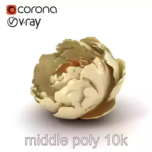 Peony Blossom Realistic Floral model pack