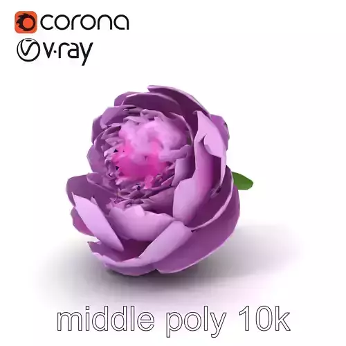 Purple Peony Mystical Flower model pack Low-poly 3D model
