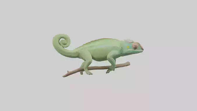 Parsons Chameleon displaying model