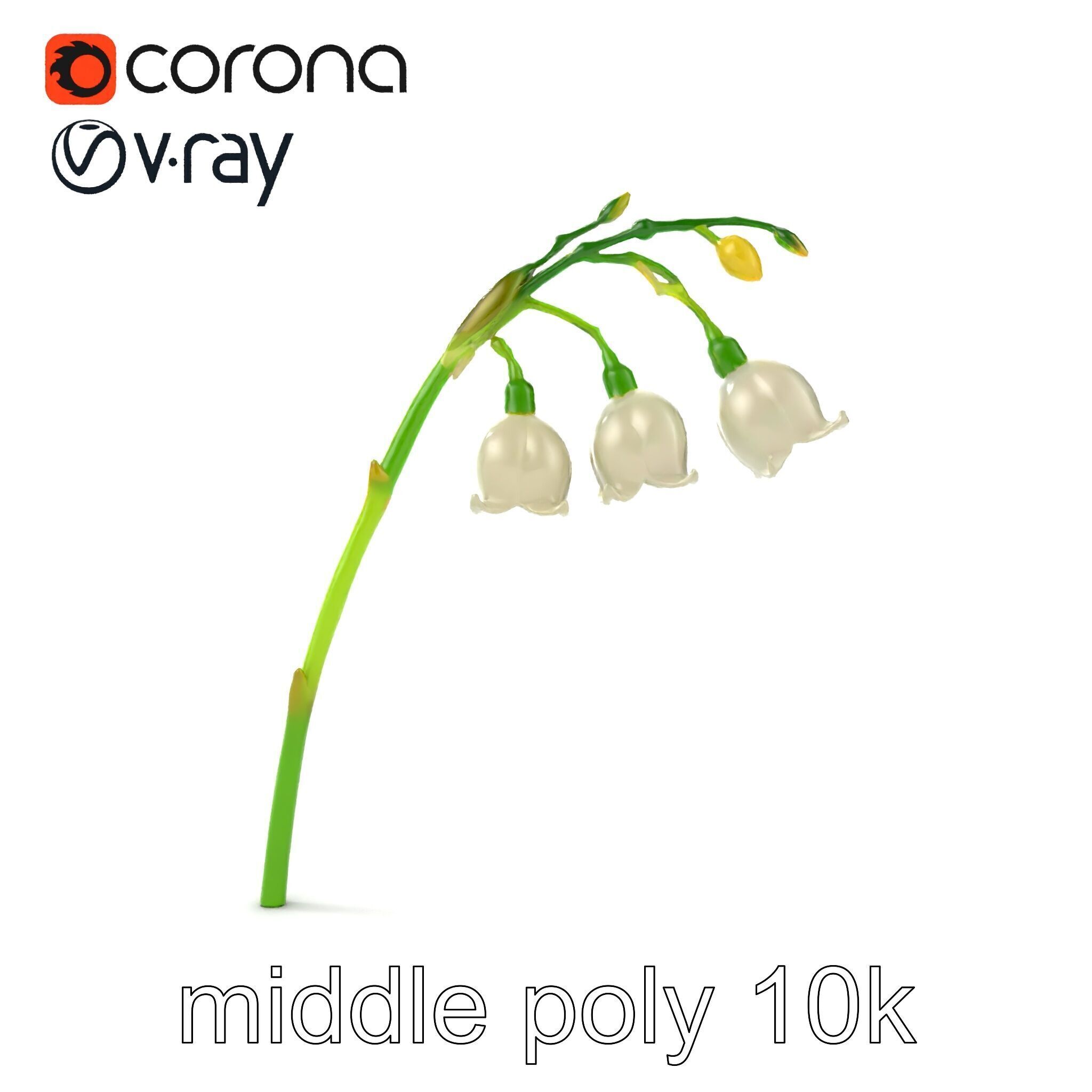 Cream Lily of the Valley Botanical model pack Low-poly 3D model_13