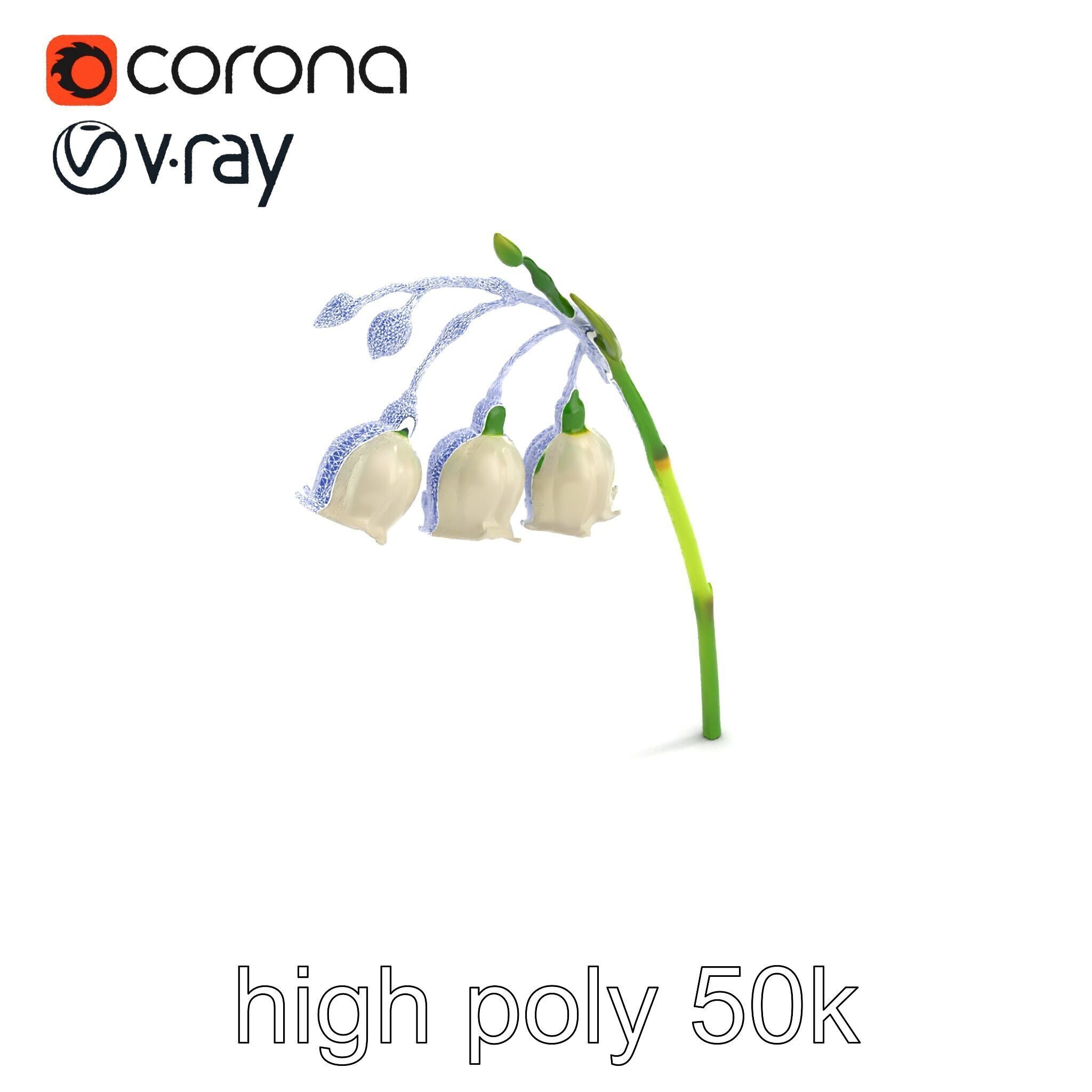 Cream Lily of the Valley Botanical model pack Low-poly 3D model_19