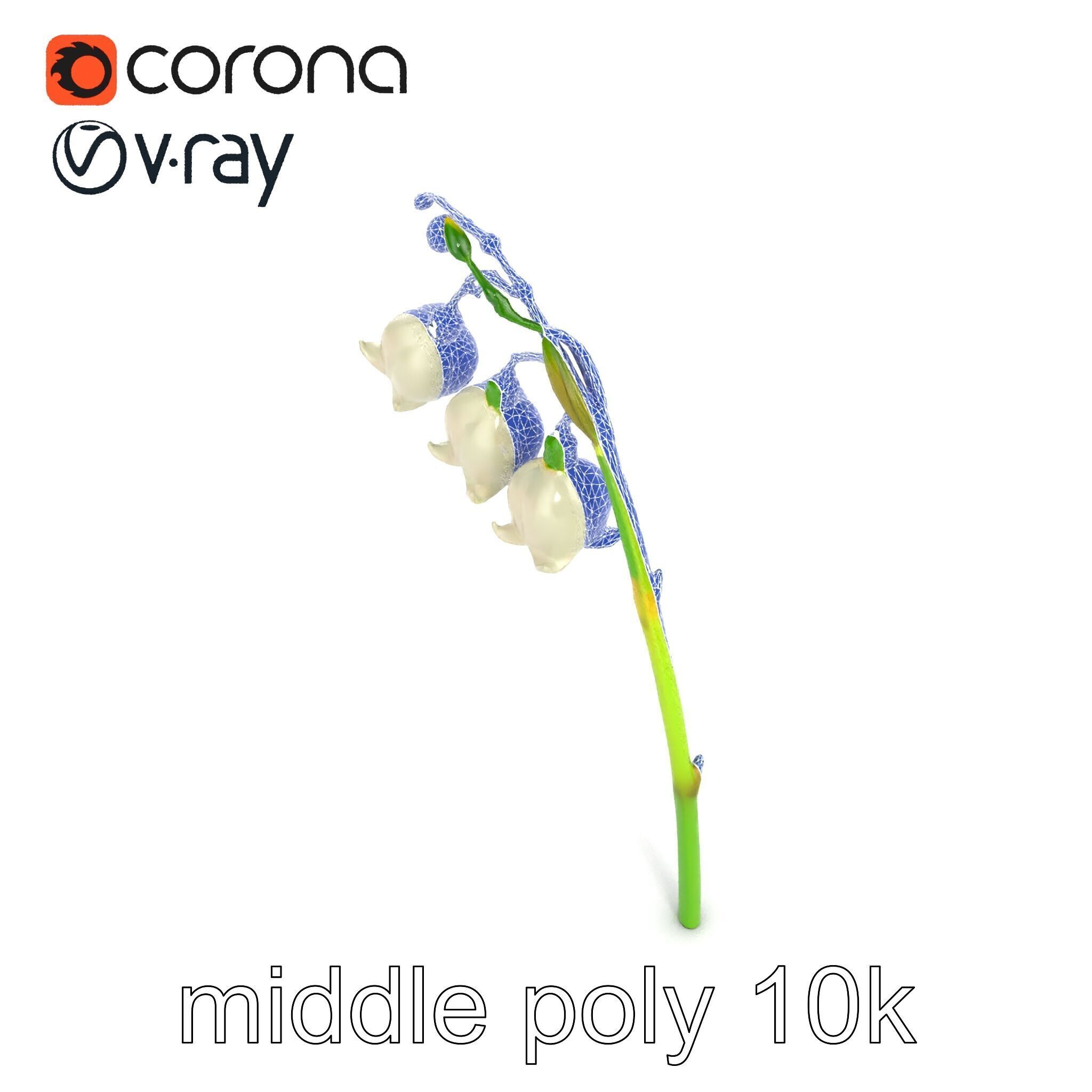 Cream Lily of the Valley Botanical model pack Low-poly 3D model_20