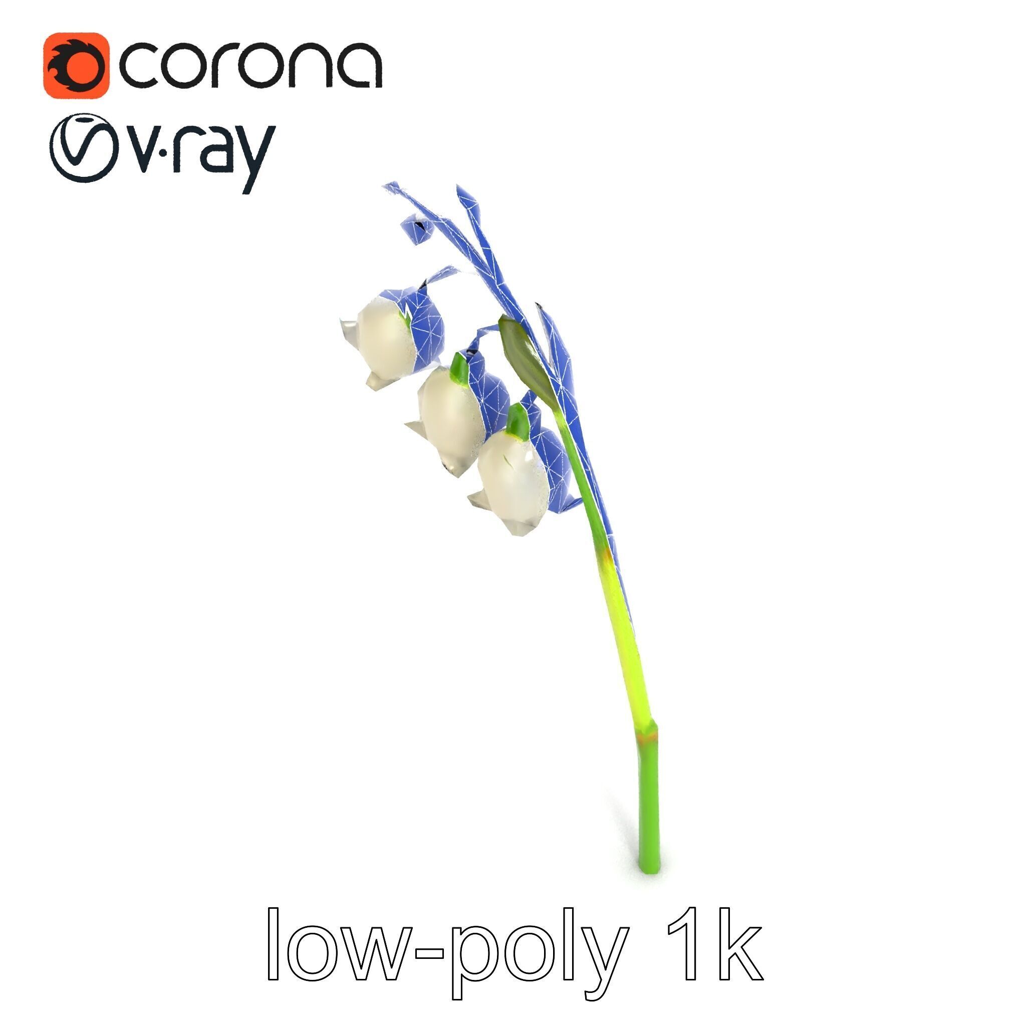 Cream Lily of the Valley Botanical model pack Low-poly 3D model_22