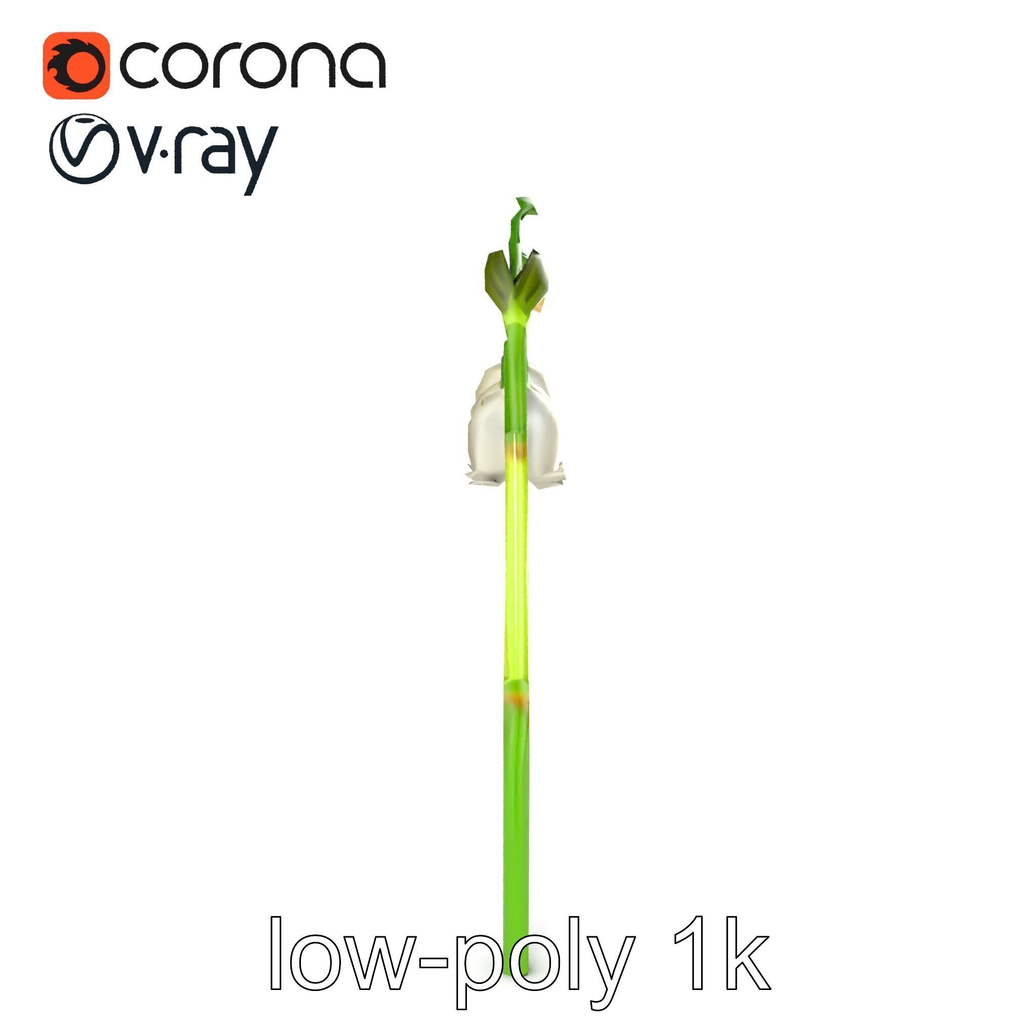 Cream Lily of the Valley Botanical model pack Low-poly 3D model_25