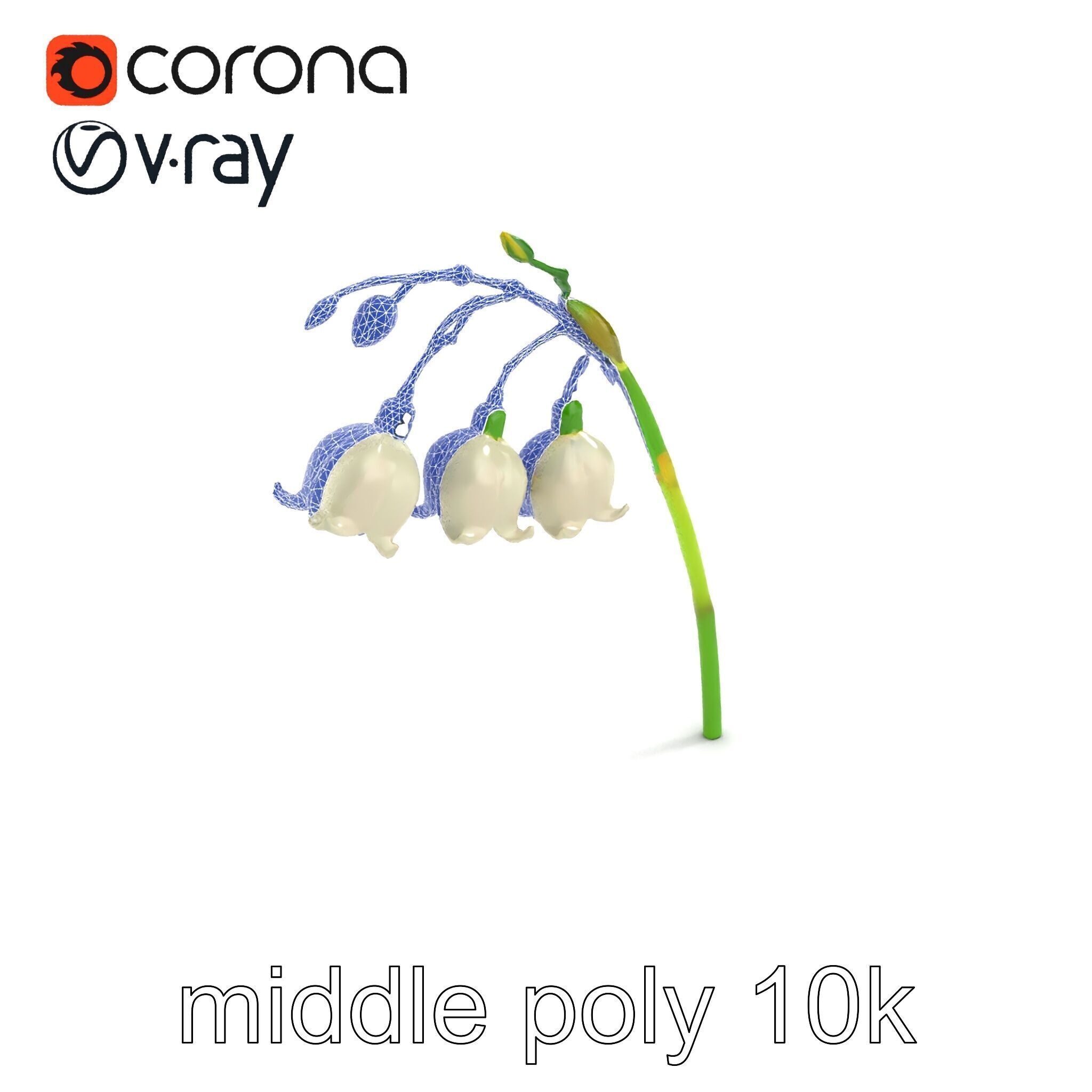 Cream Lily of the Valley Botanical model pack Low-poly 3D model_12