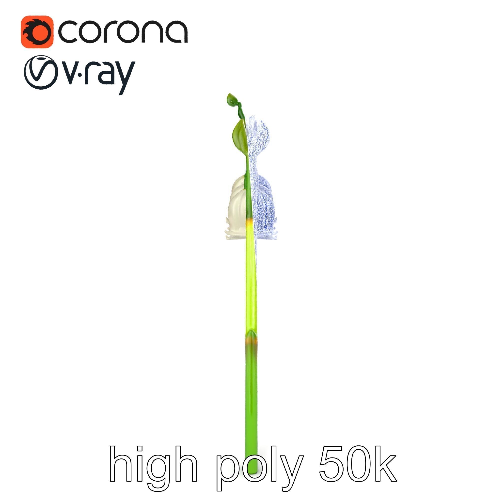 Cream Lily of the Valley Botanical model pack Low-poly 3D model_30
